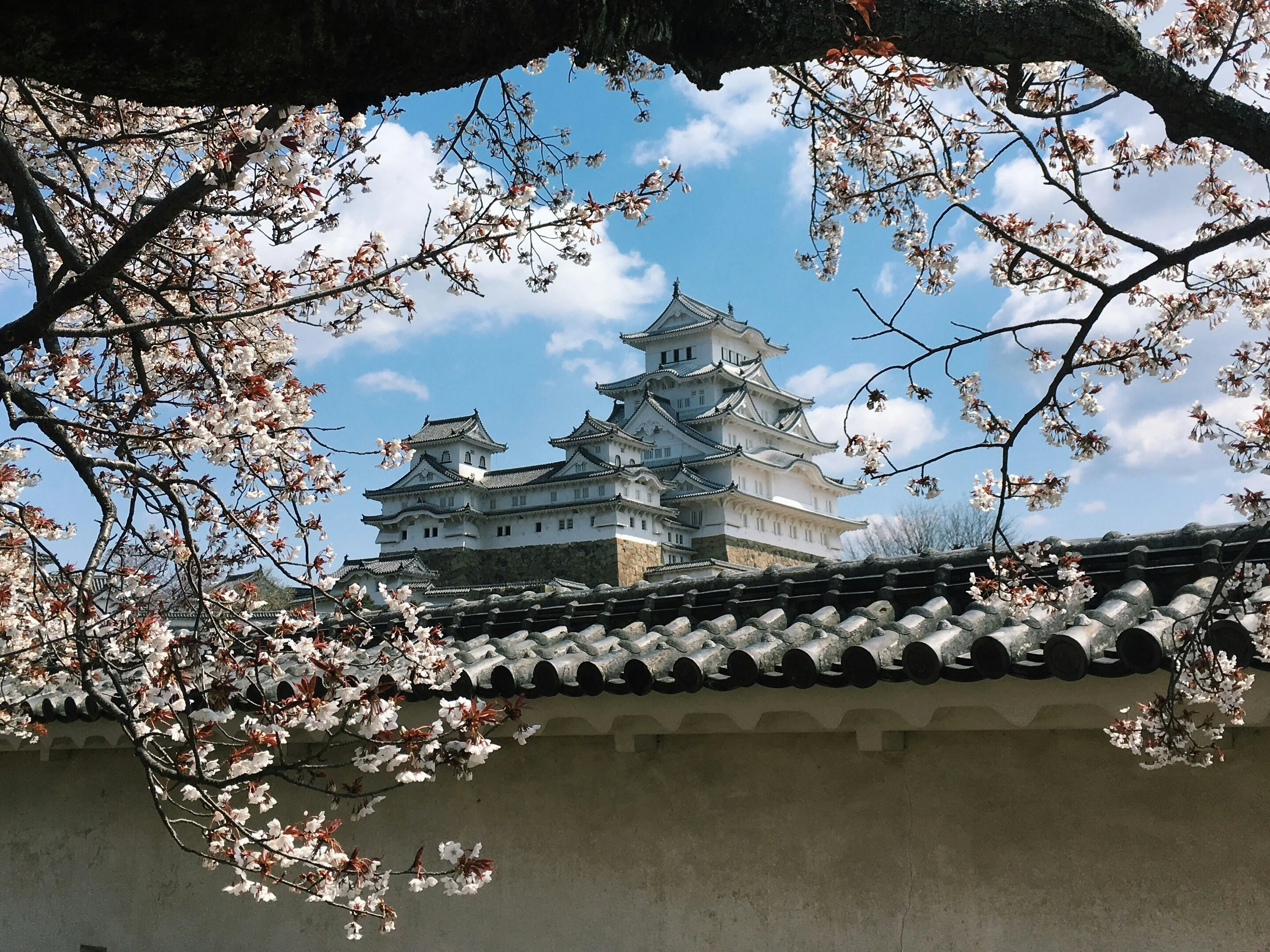 Nature's Palette: Capturing the Art of Japanese Gardens in Himeji Image 1