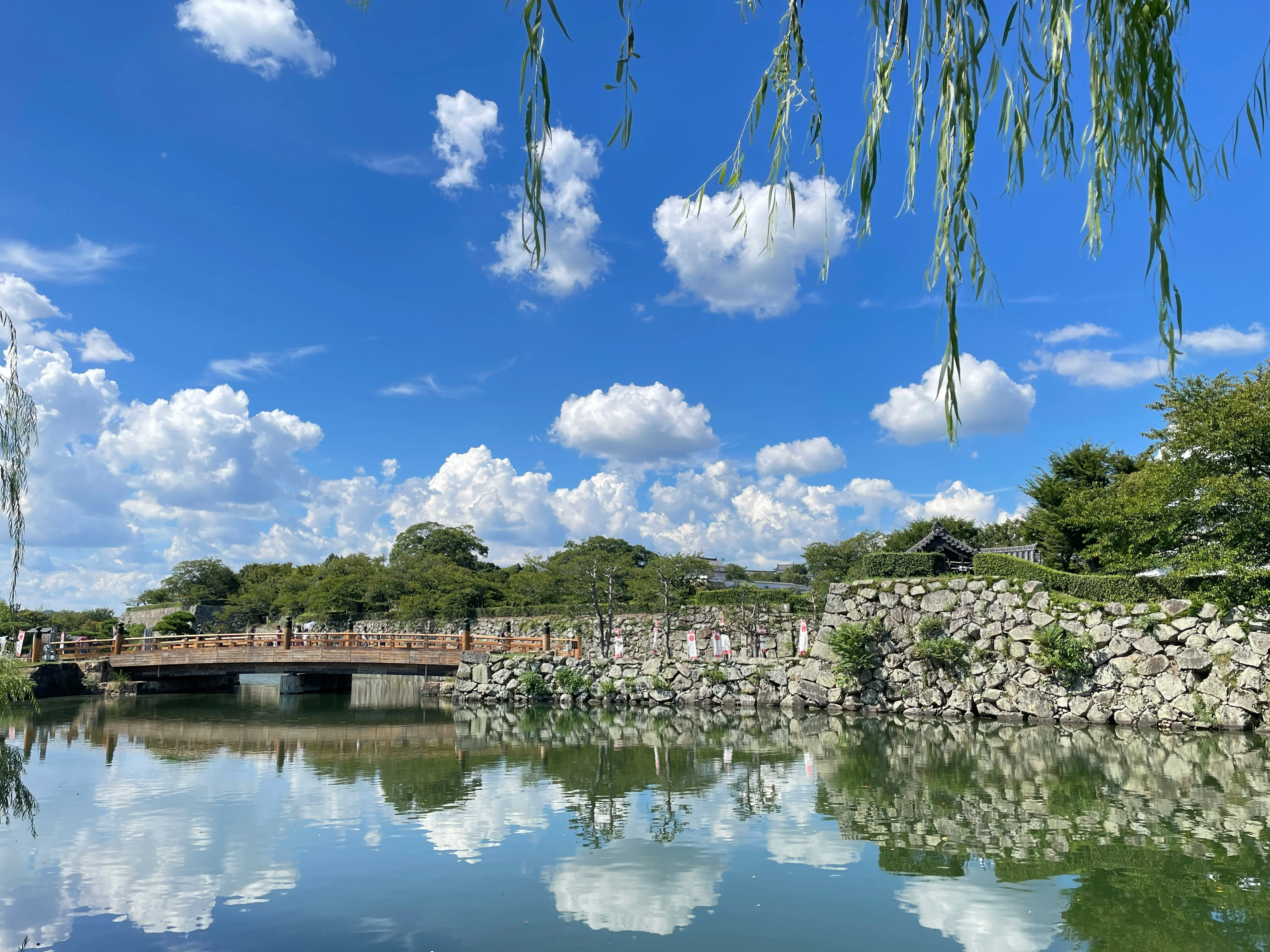 Nature's Palette: Capturing the Art of Japanese Gardens in Himeji