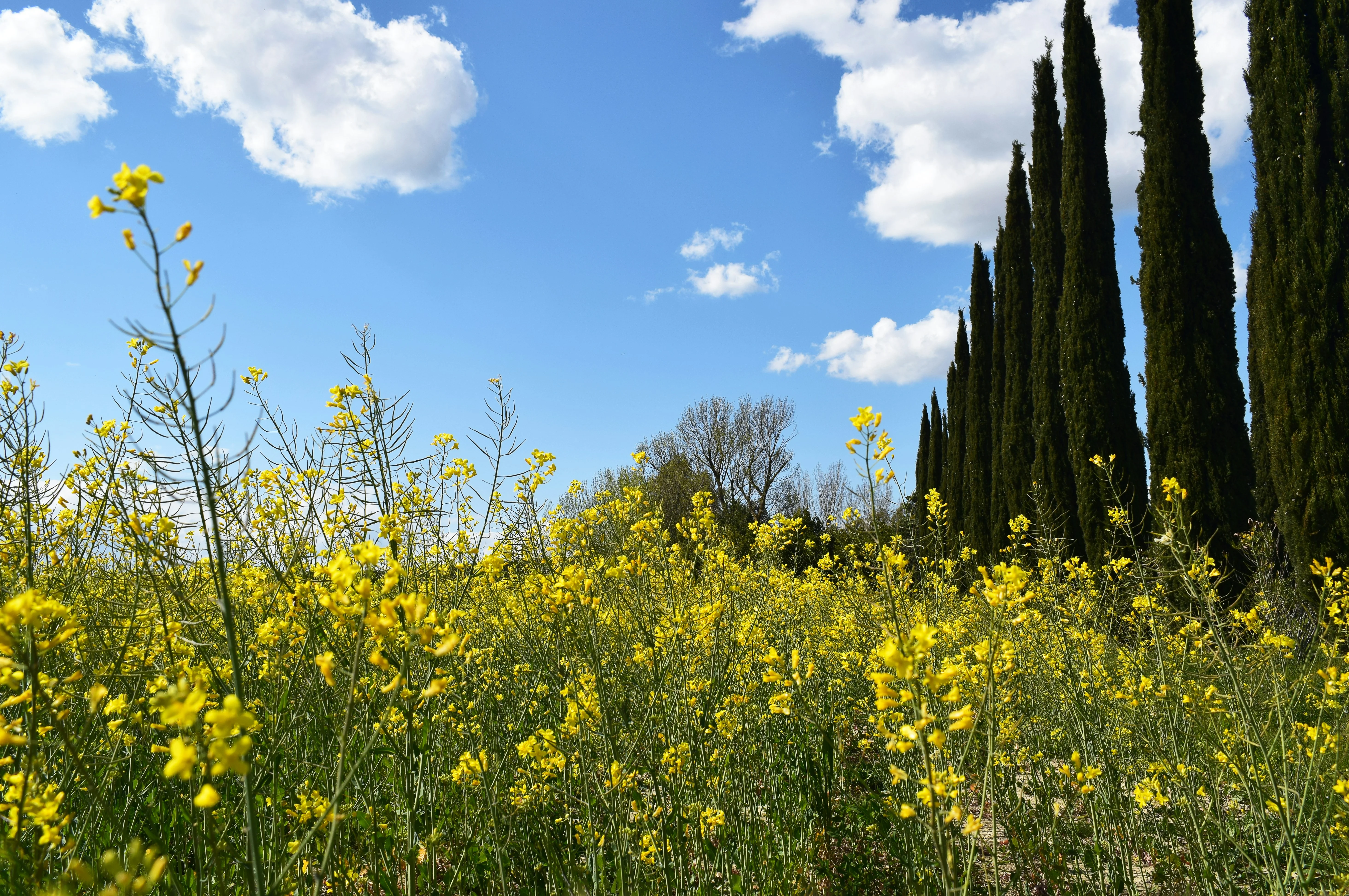 Luxury Under the Tuscan Sun: Rejuvenating Spa Experiences Image 3