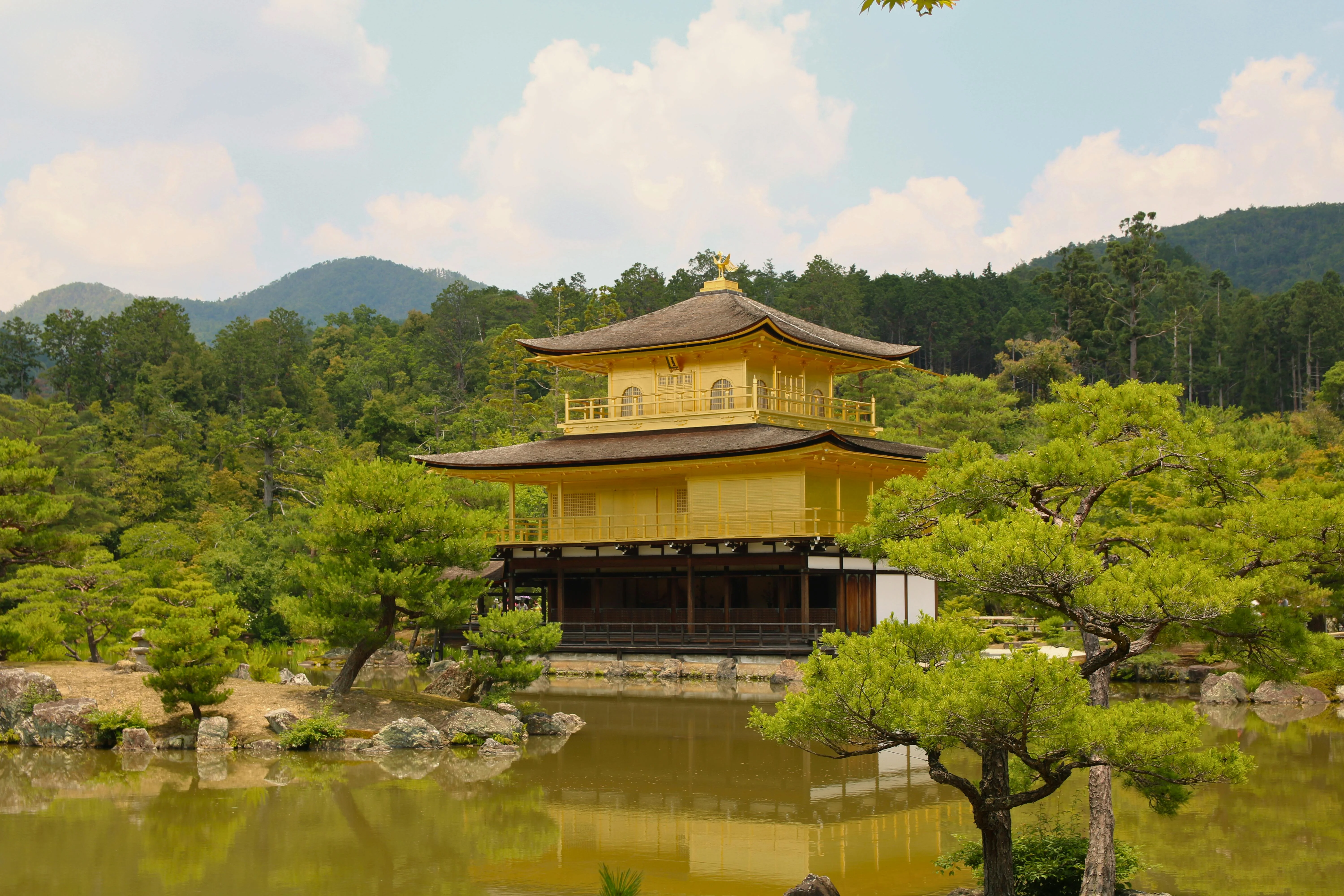 Language Lessons in Bloom: Spring-Focused Travel in Kyoto Image 1