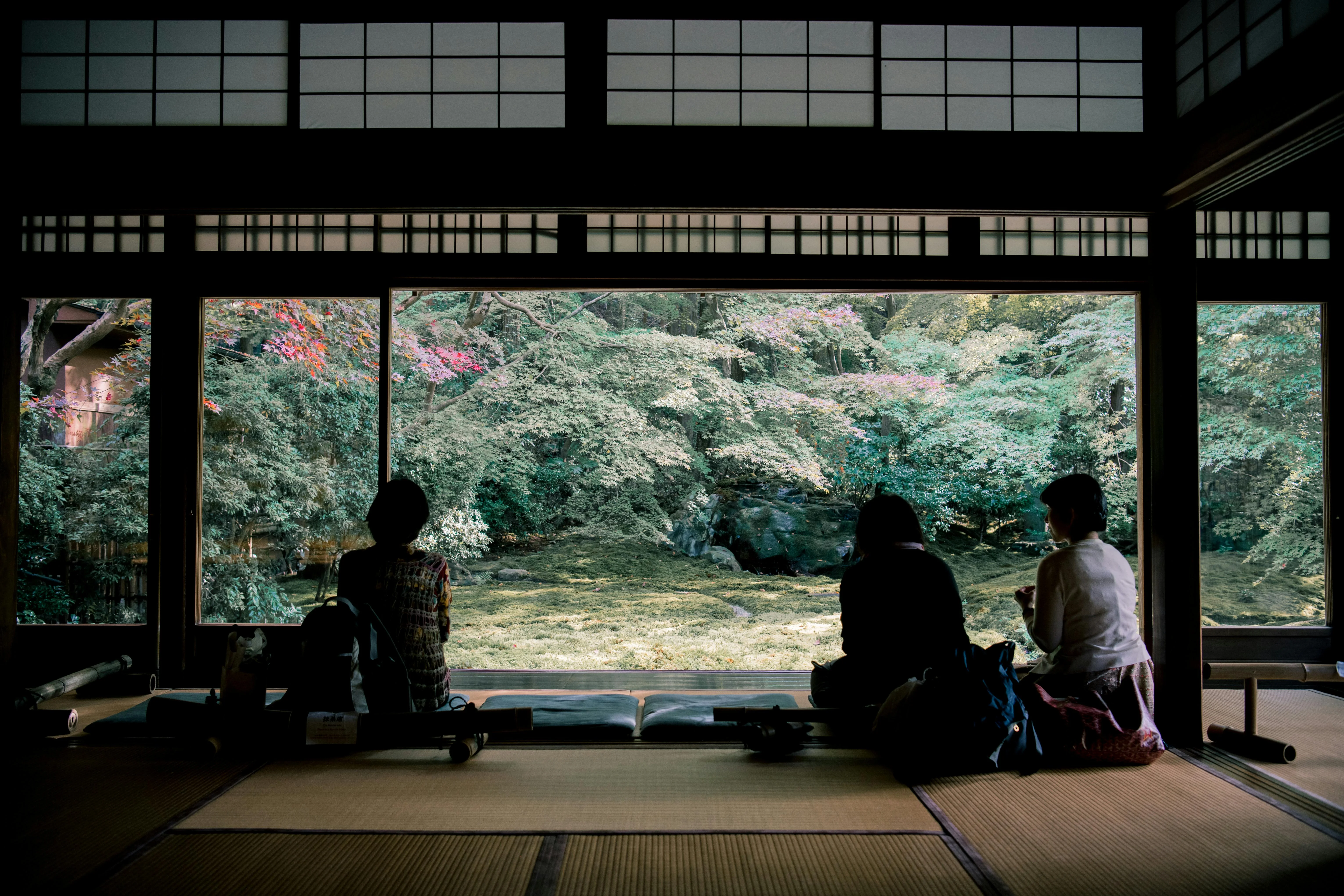 Language Lessons in Bloom: Spring-Focused Travel in Kyoto Image 2