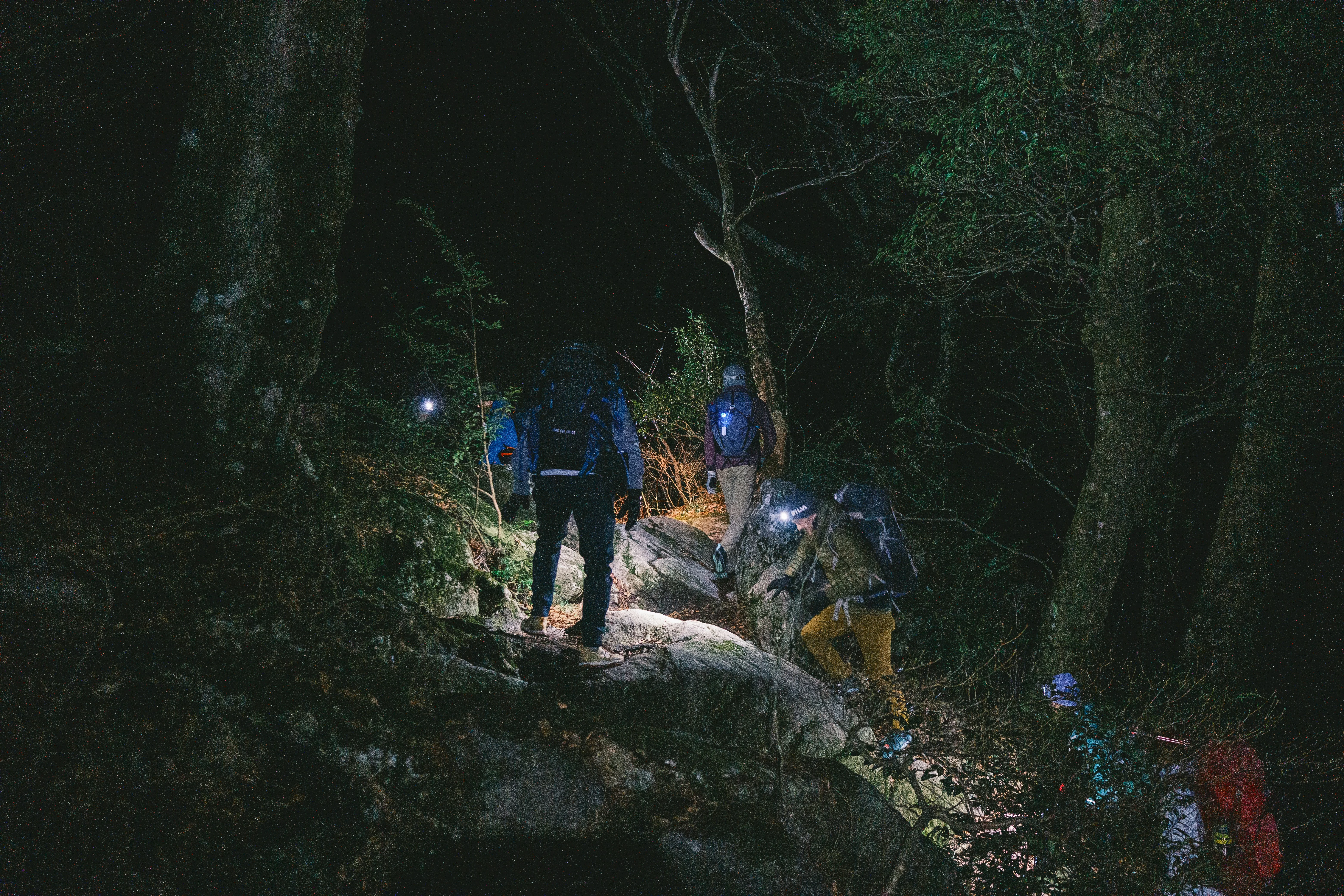 Hiking with Hidden Stories: Fukuoka's Ancient Trails Image 1