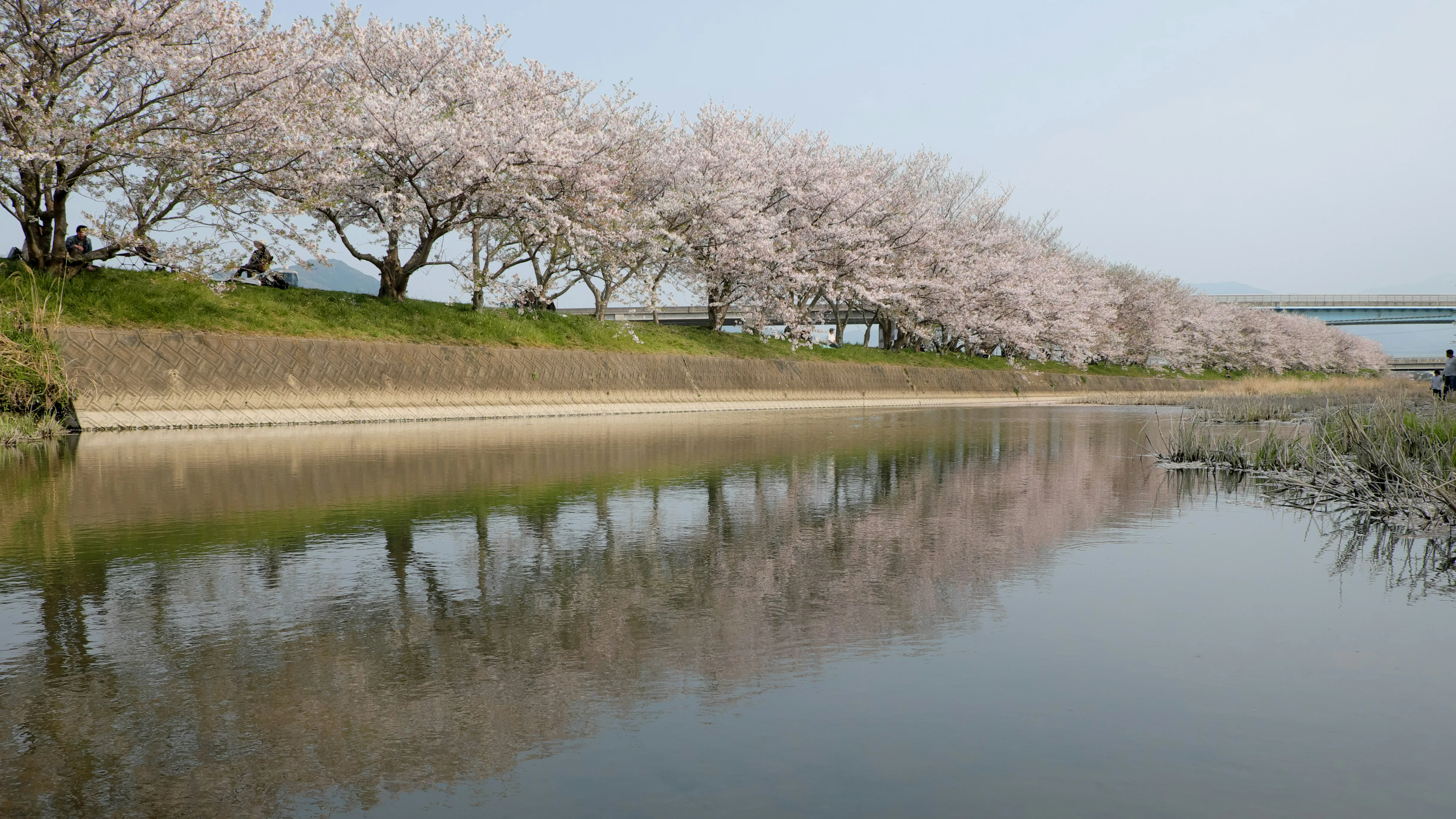 Hiking with Hidden Stories: Fukuoka's Ancient Trails Image 3