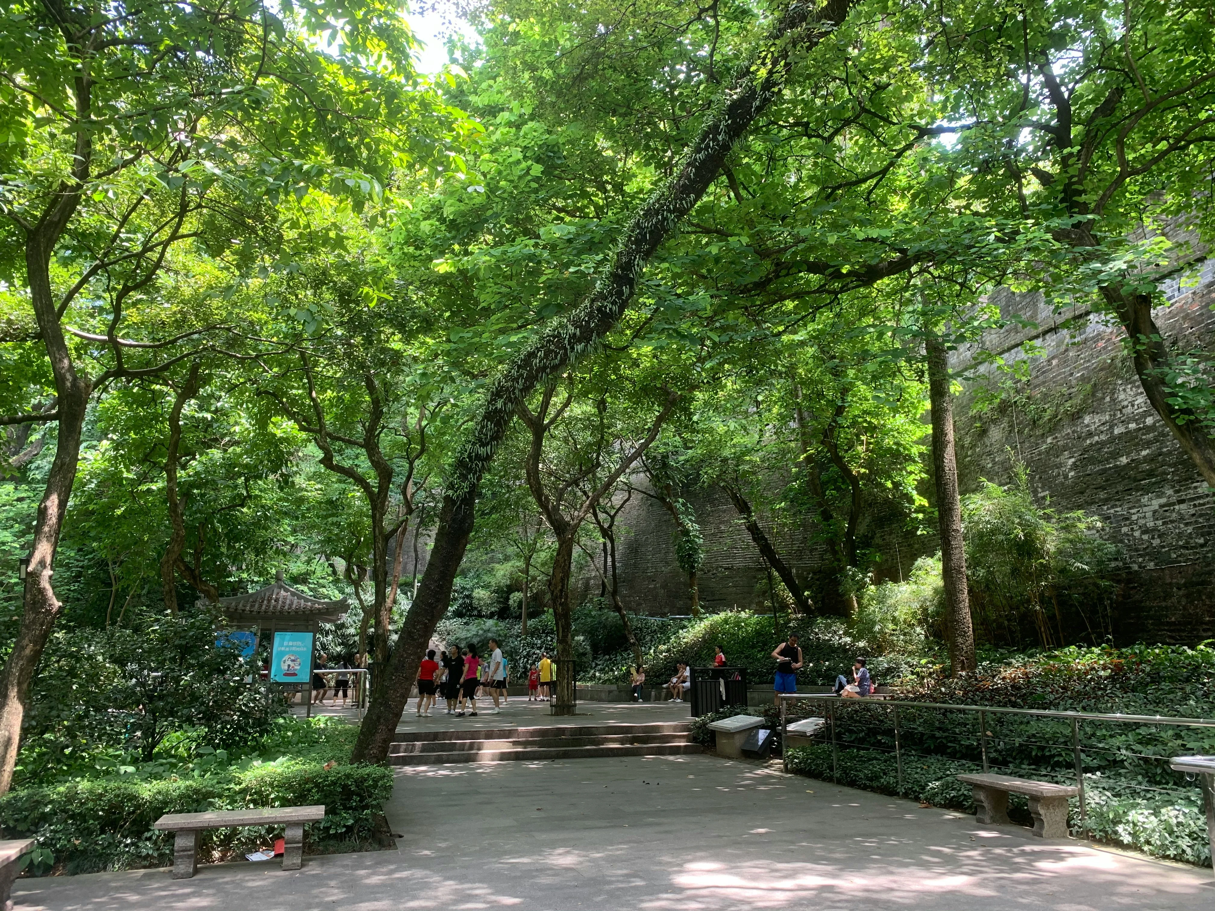 Capturing Serenity: Peaceful Gardens and Escape Spots in Guangzhou Image 1