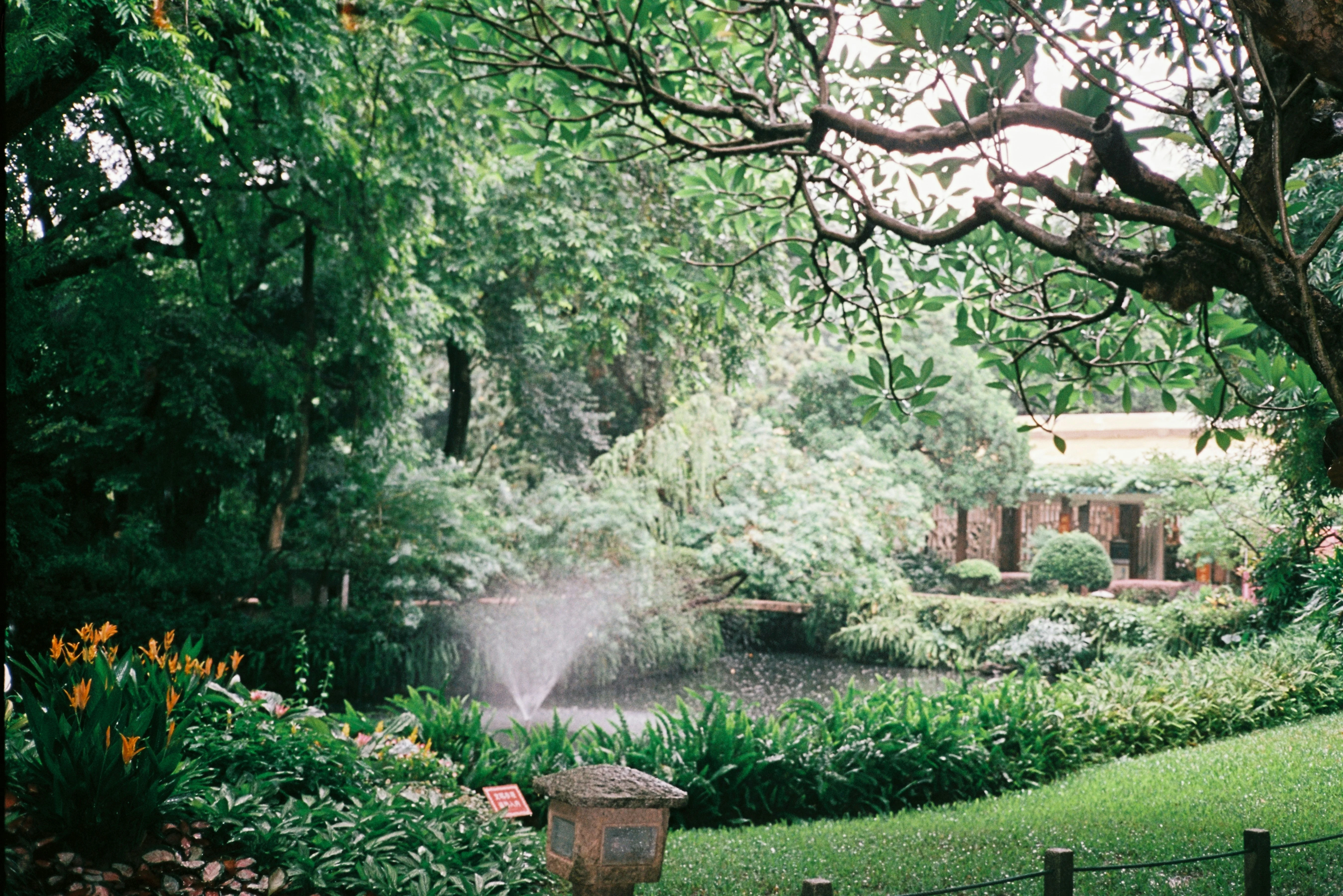 Capturing Serenity: Peaceful Gardens and Escape Spots in Guangzhou Image 2