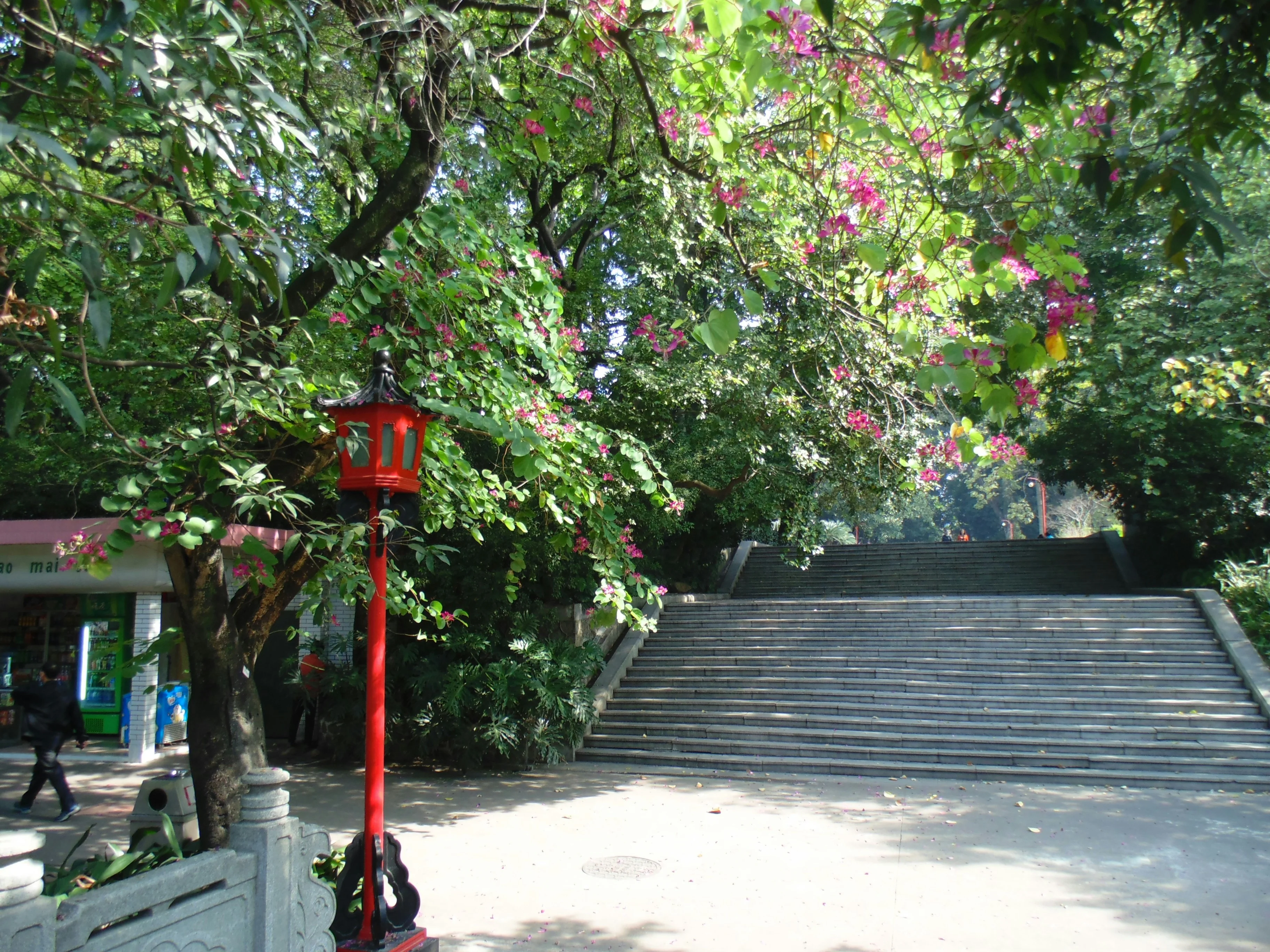 Capturing Serenity: Peaceful Gardens and Escape Spots in Guangzhou Image 3