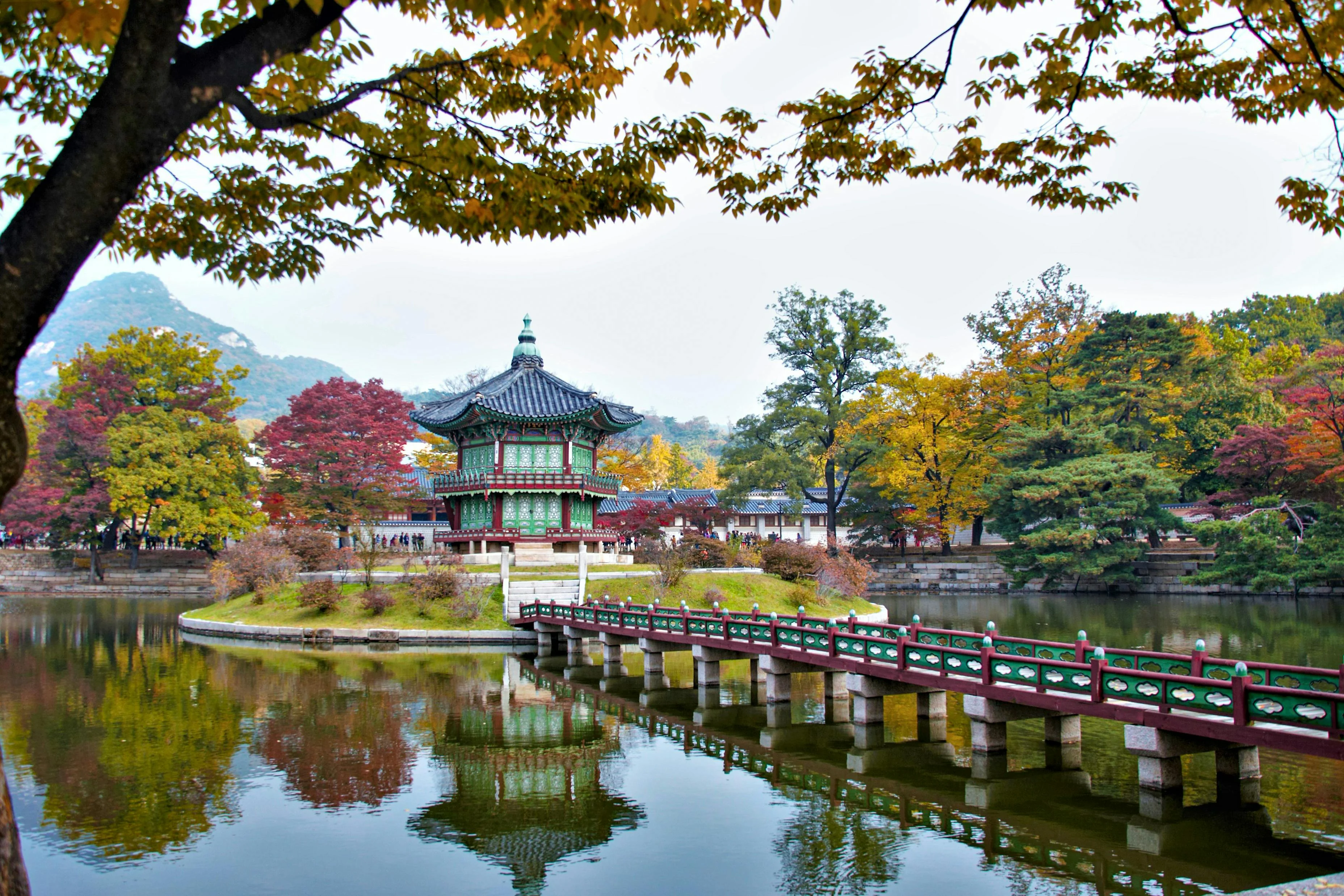 Picture-Perfect Seoul: Immortalizing Nature's Wonders in an Eco-Friendly Way 