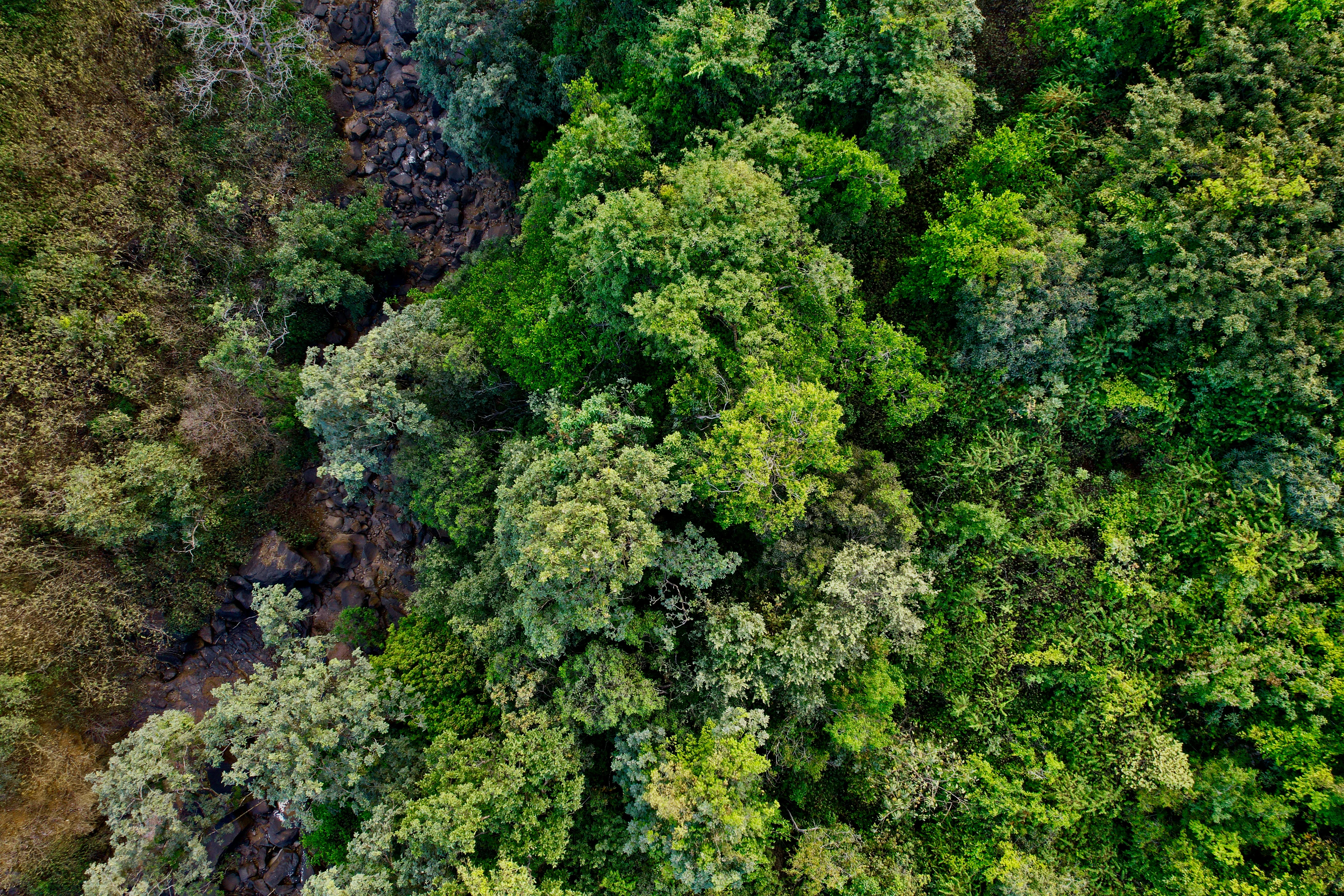 India's West Coast Vistas: Awe-Inspiring Road Trips from Mumbai