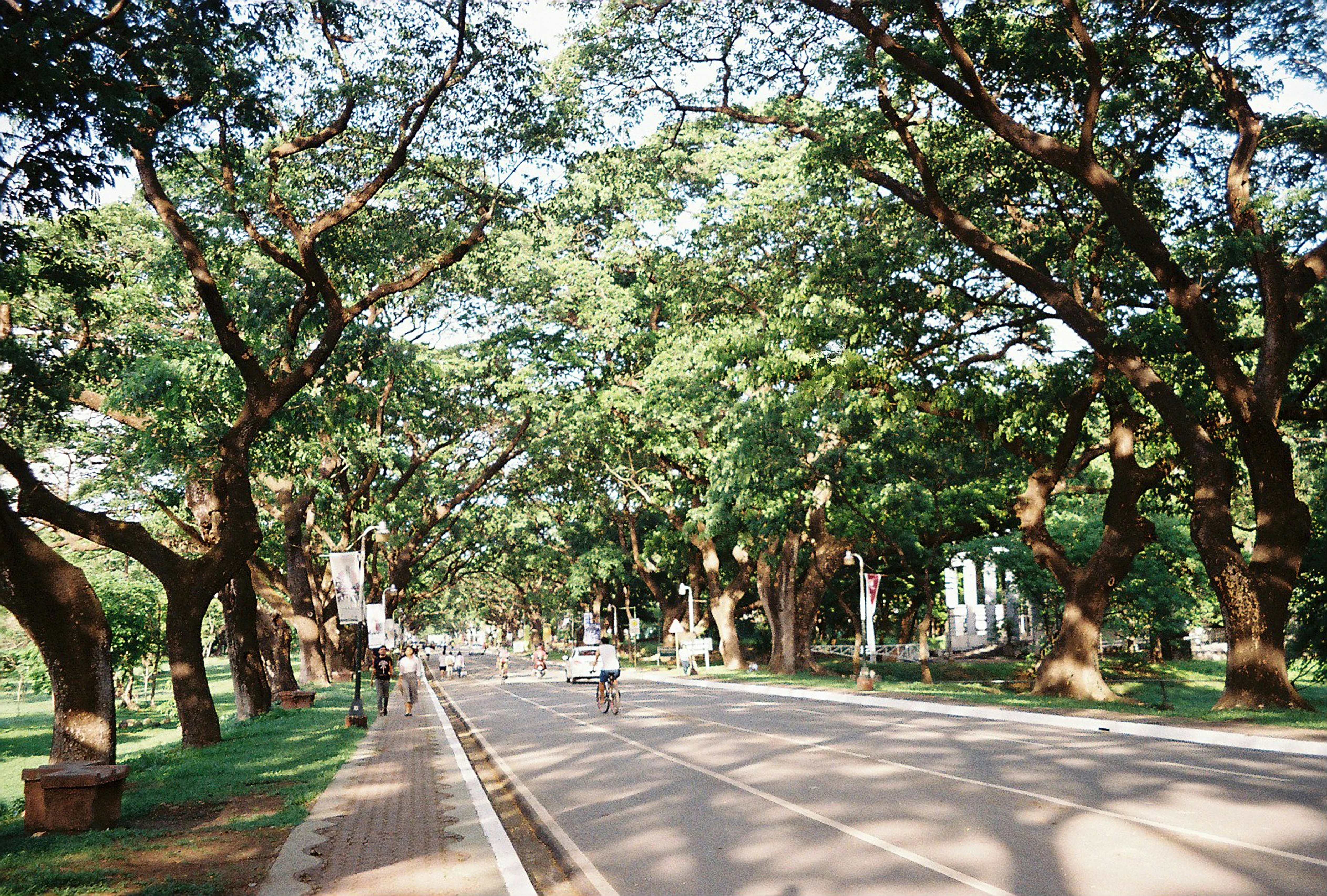 Revitalize Your Spirit: Manila's Best Parks for Peaceful Reflection Image 3