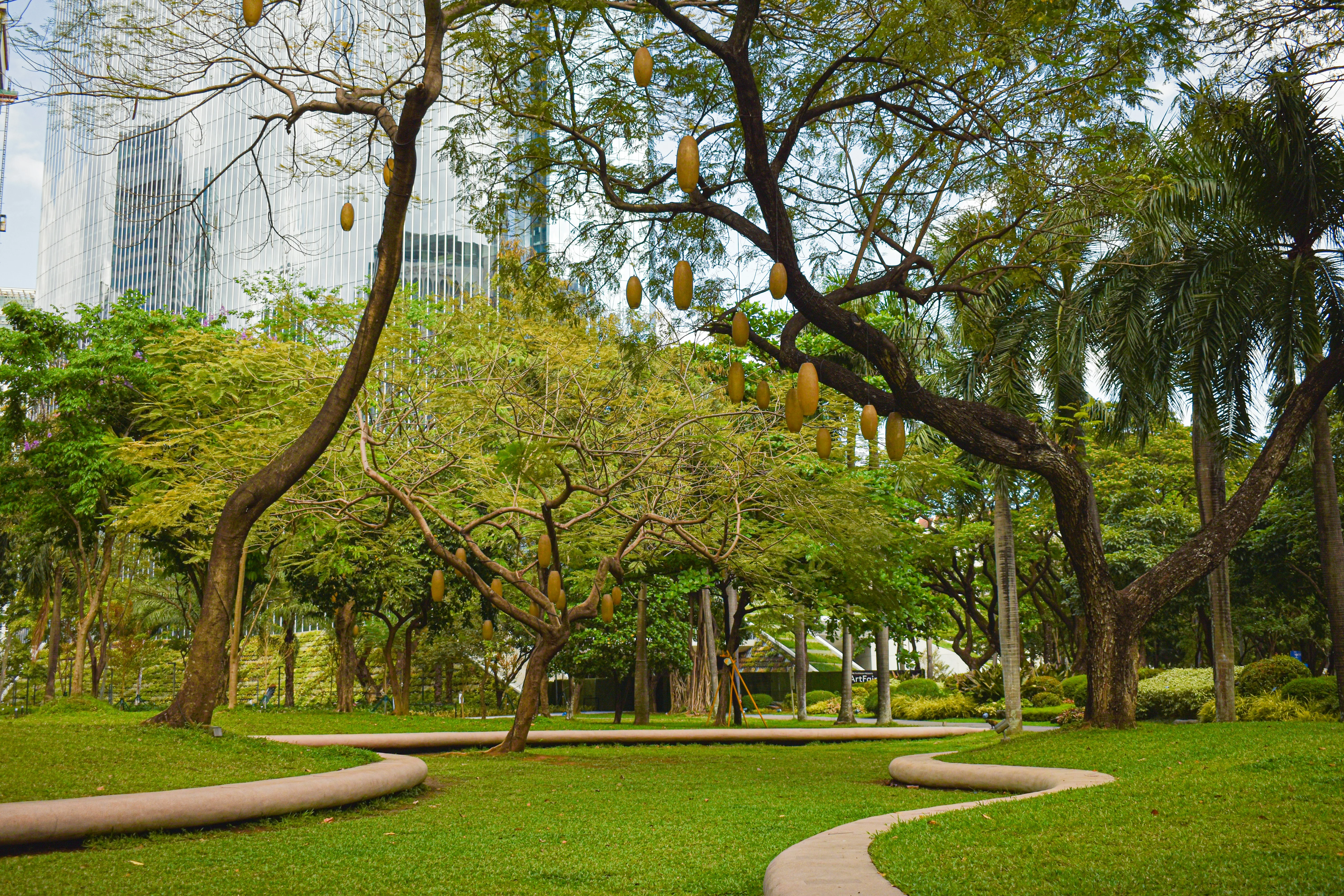 Revitalize Your Spirit: Manila's Best Parks for Peaceful Reflection