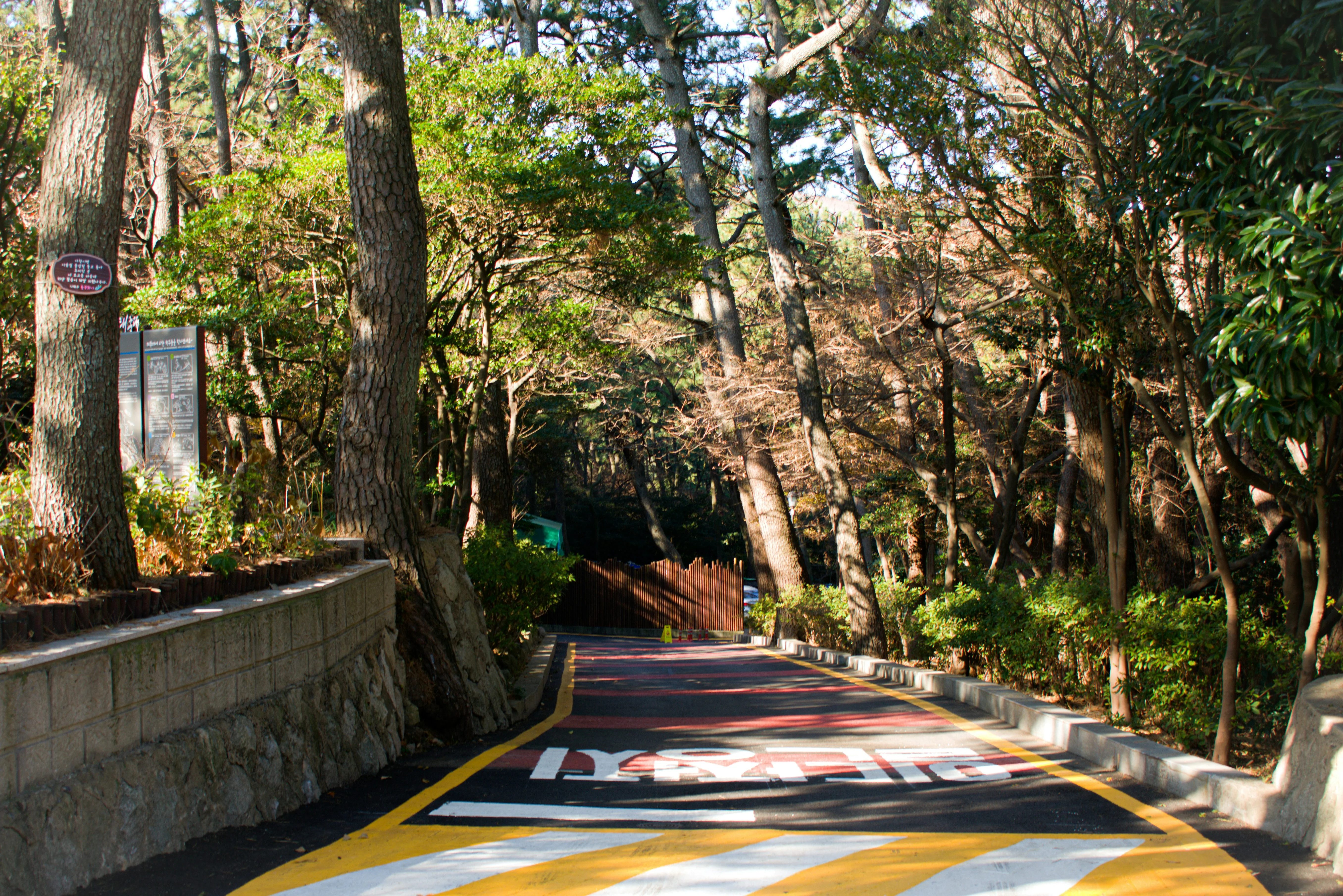 Beyond the Buzz: Quiet Corners of Busan for Reflective Travelers