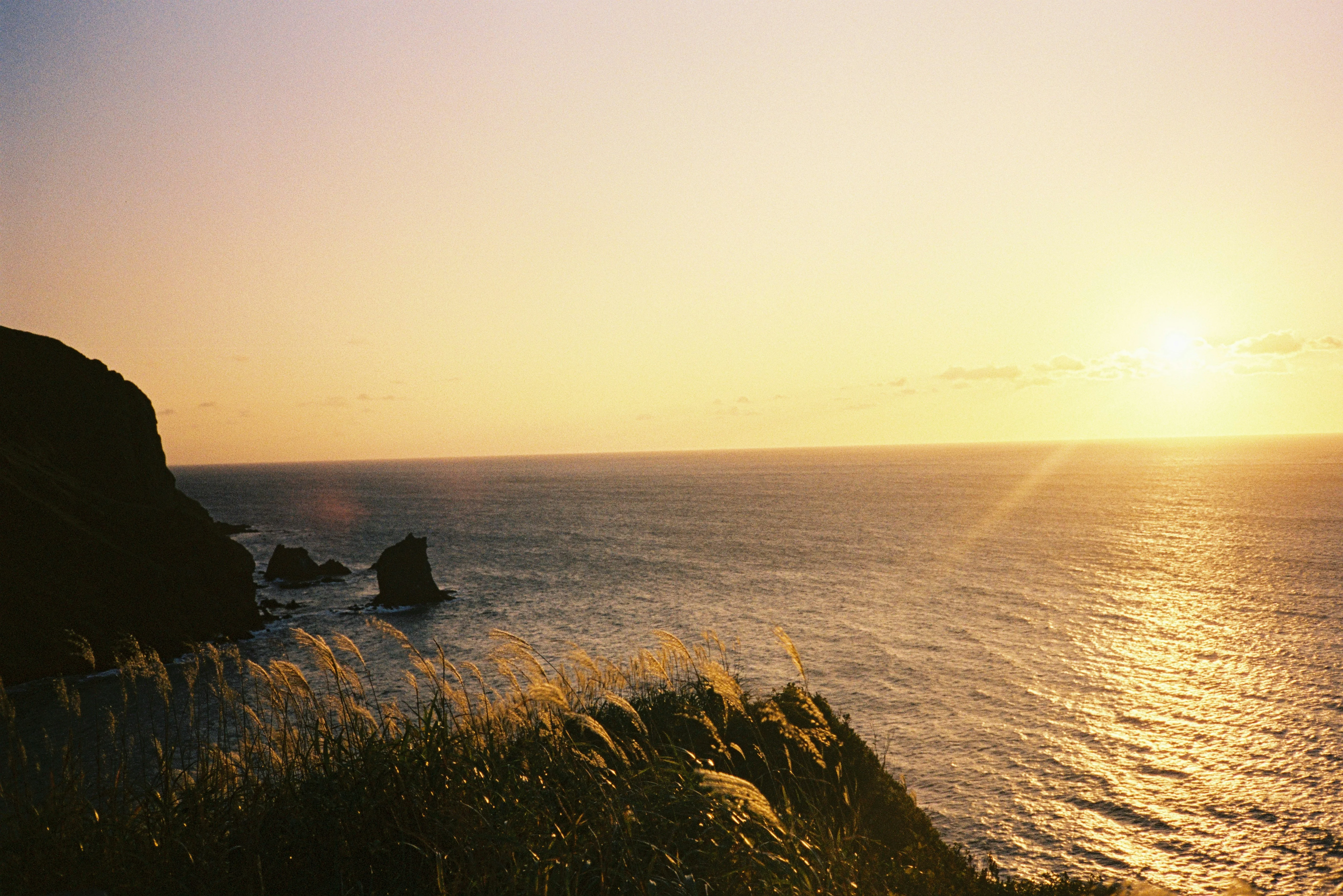 Exploring Hokkaido's Secret Sushi Spots: A Backpacker's Delight Image 1