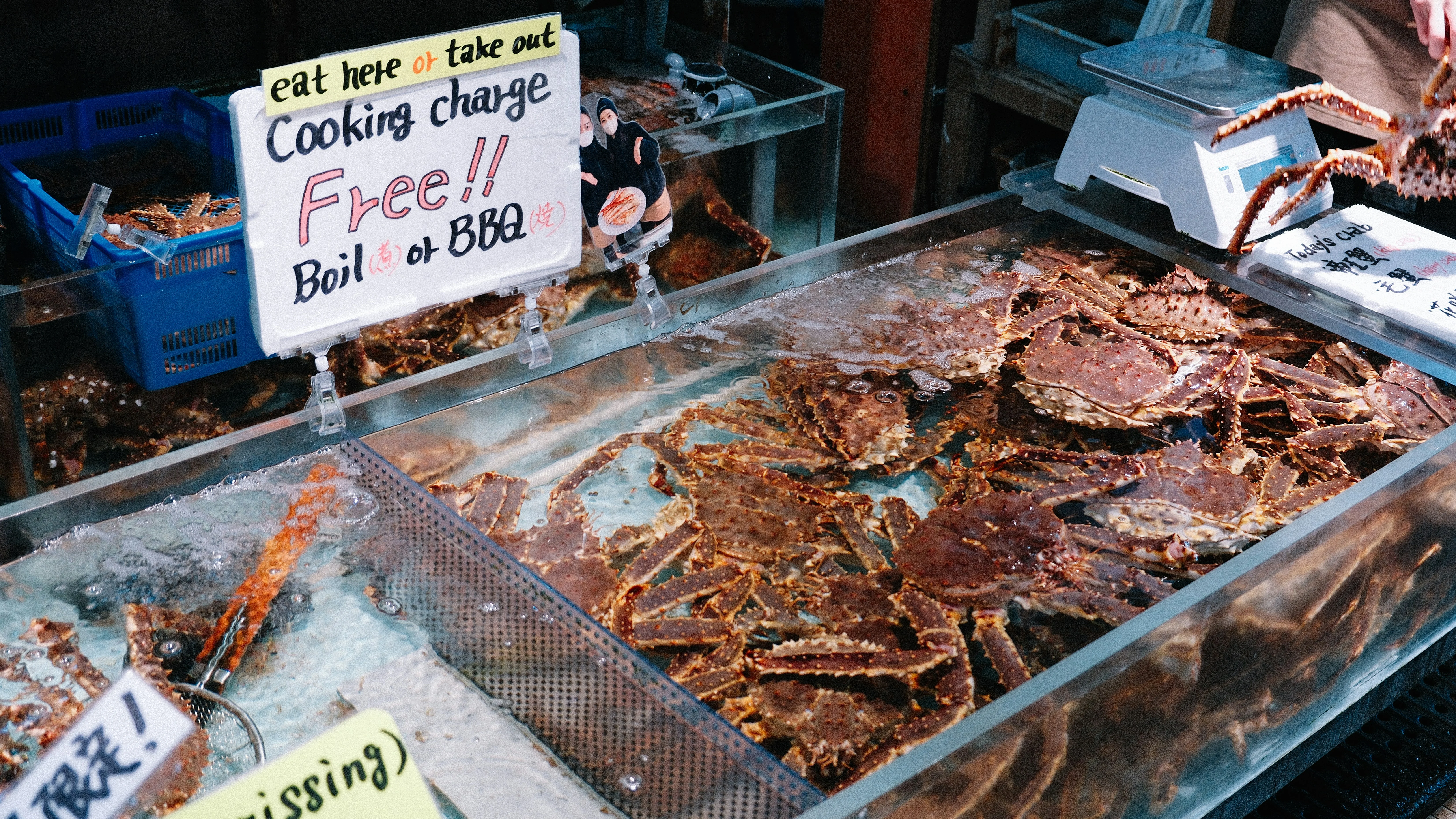 Exploring Hokkaido's Secret Sushi Spots: A Backpacker's Delight Image 3