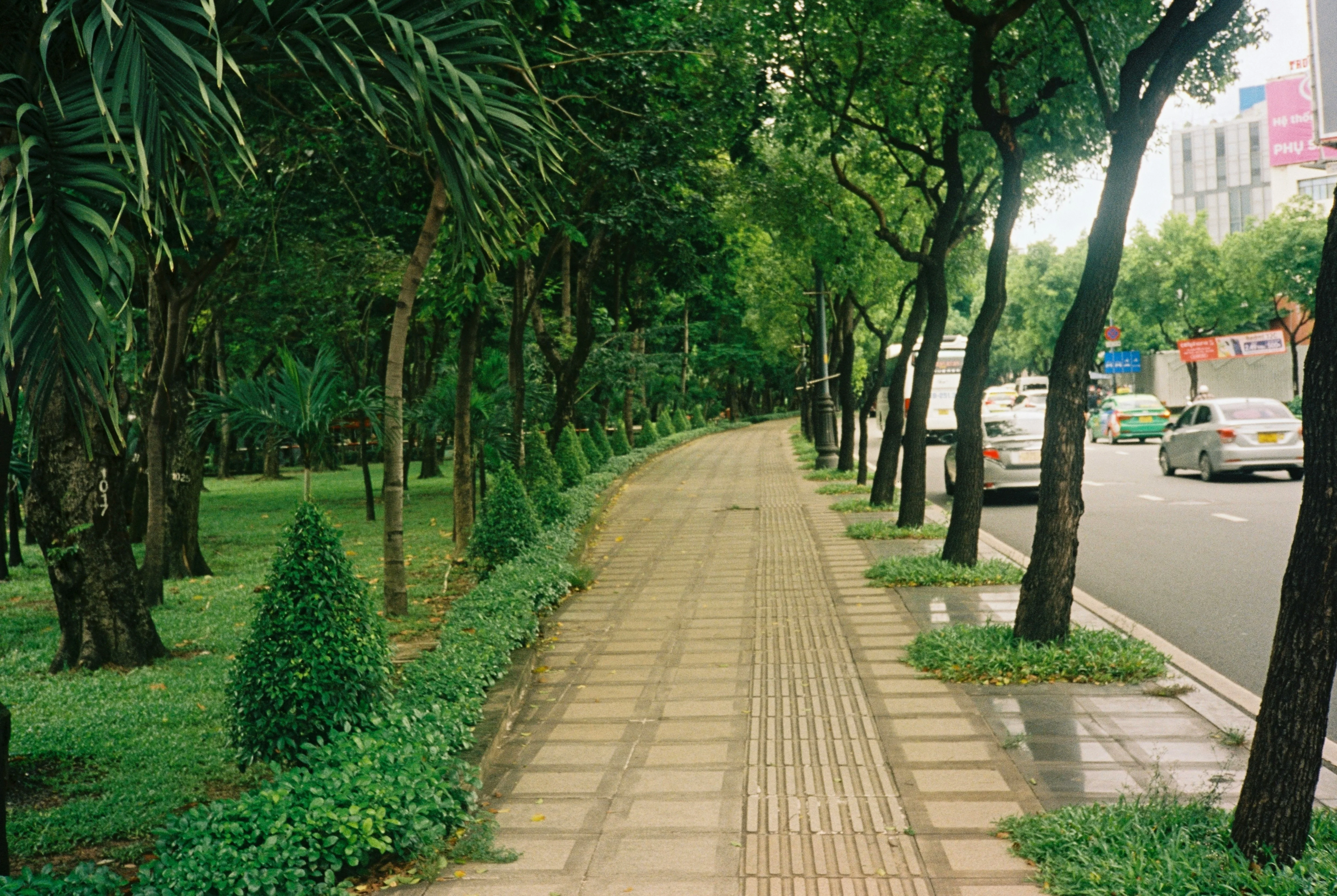 Exploring Saigon's Green Spaces: Parks and Gardens for Eco-Friendly Travelers Image 3