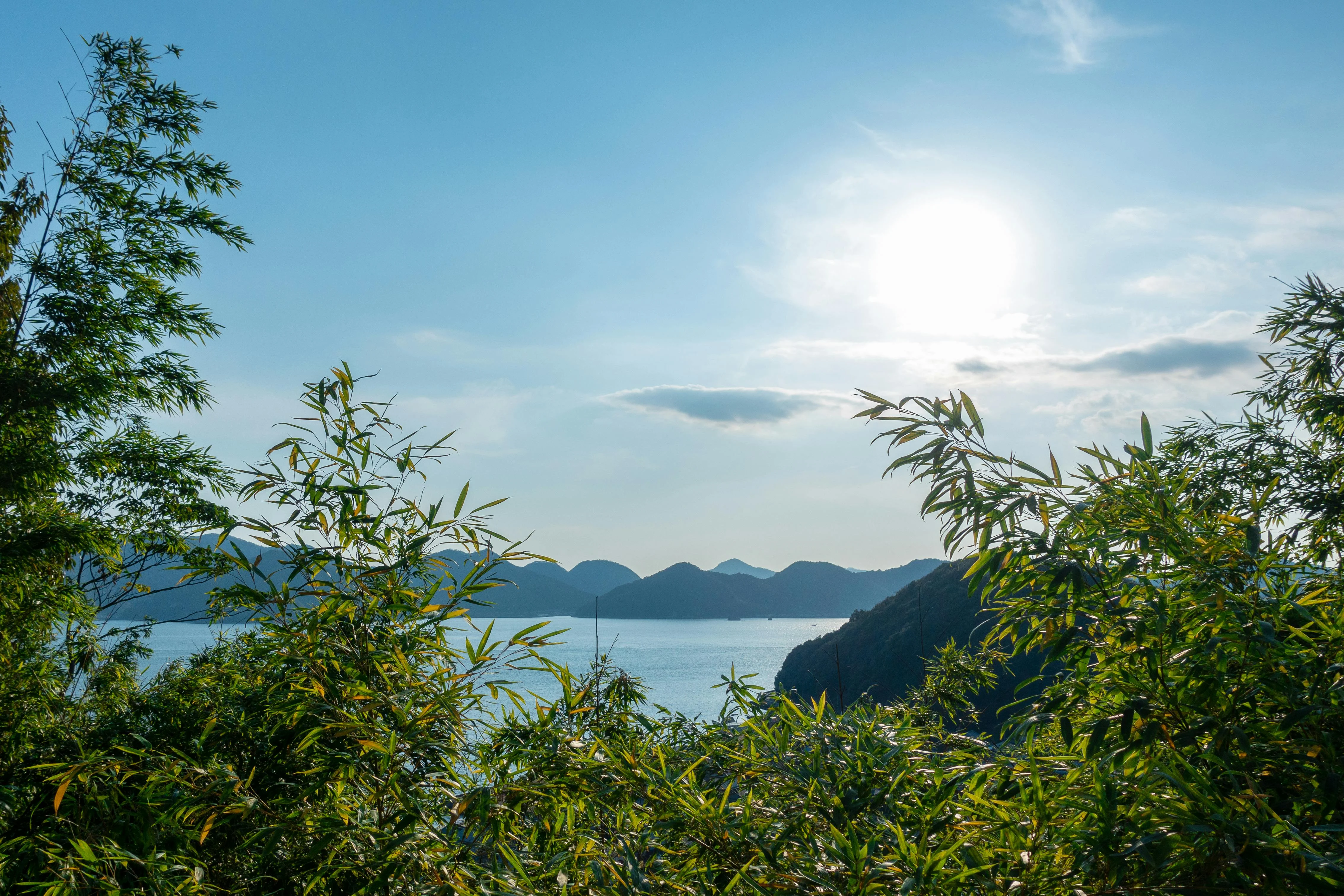 Discovering Rural Tranquility: Hiroshima's Hidden Villages for Nature Lovers Image 1