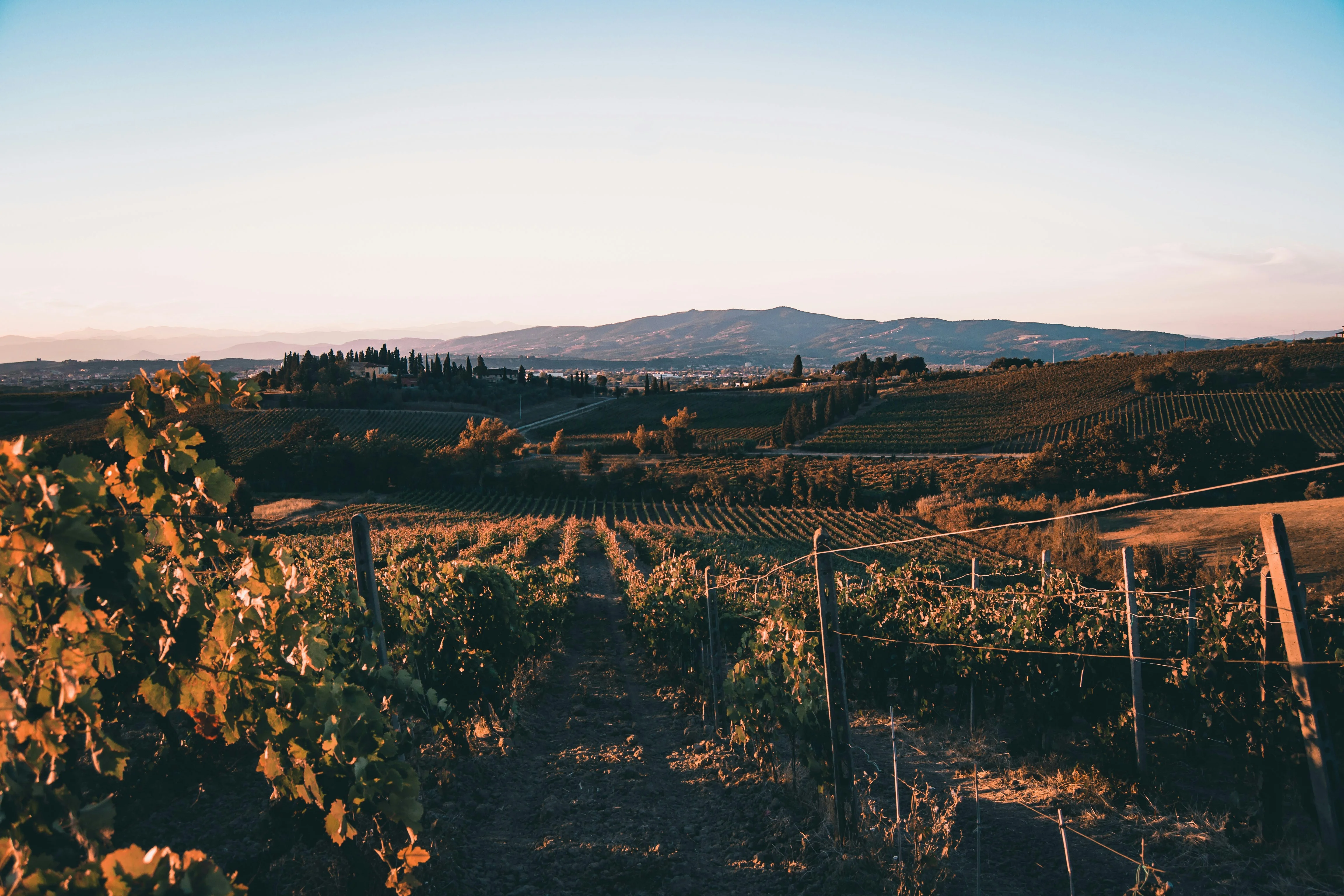 Tranquil Tuscany: Wine Tasting Tours Tailor-Made for Two Image 1