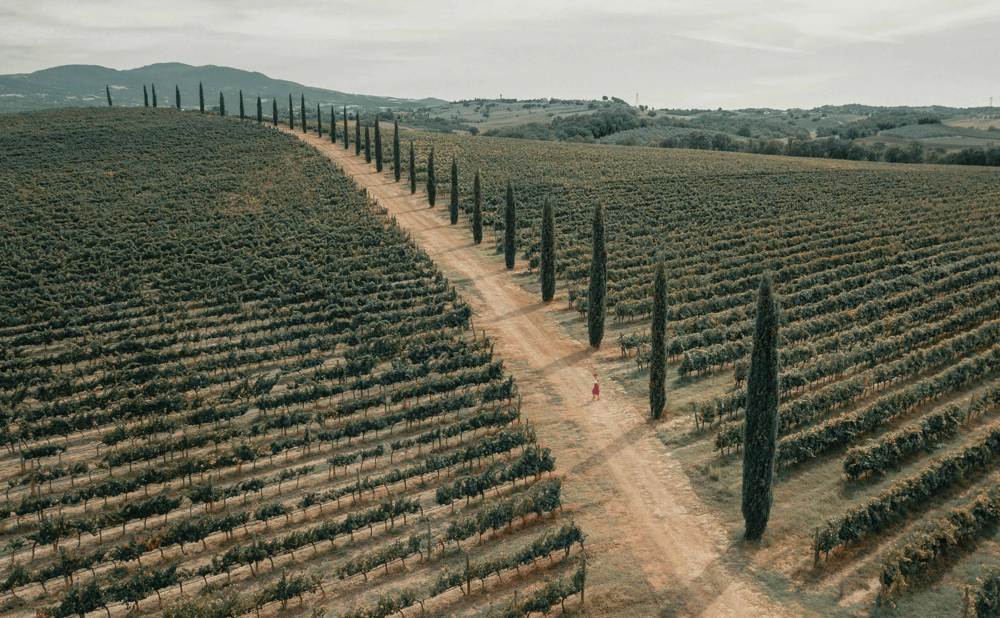 Tranquil Tuscany: Wine Tasting Tours Tailor-Made for Two Image 3