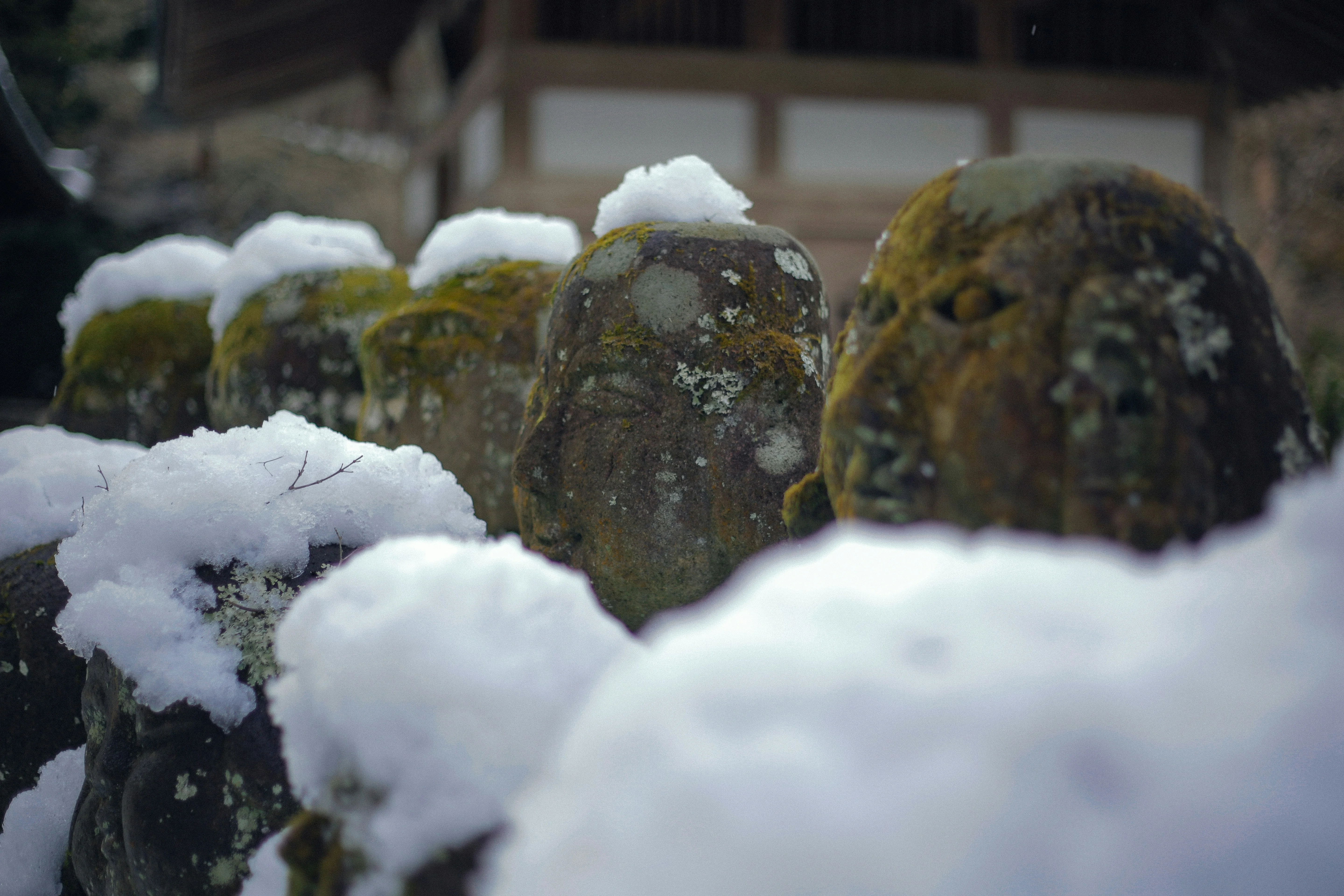 A Historical Linguistic Journey Through Kyoto's Winter Traditions Image 1