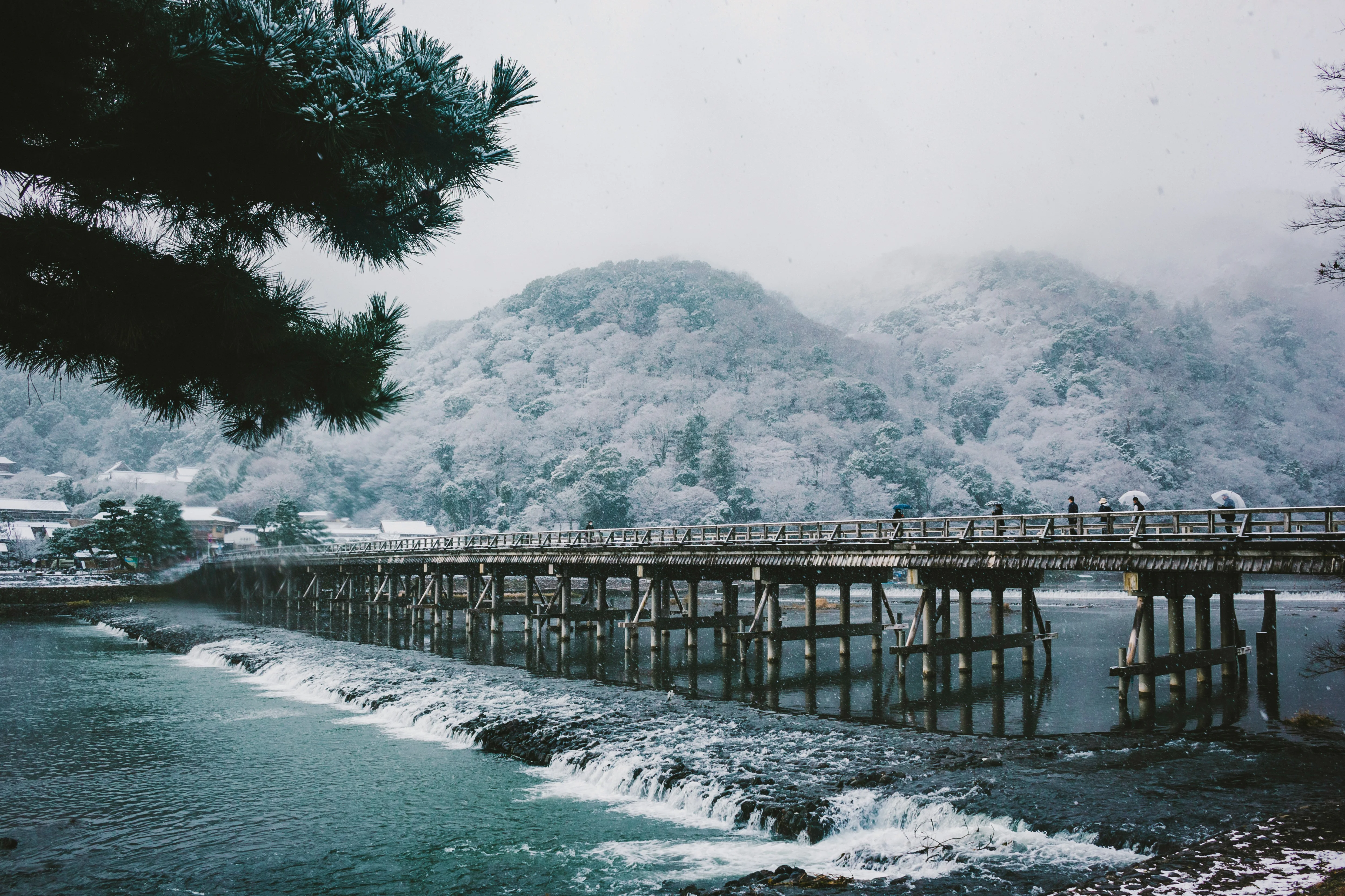 A Historical Linguistic Journey Through Kyoto's Winter Traditions Image 3