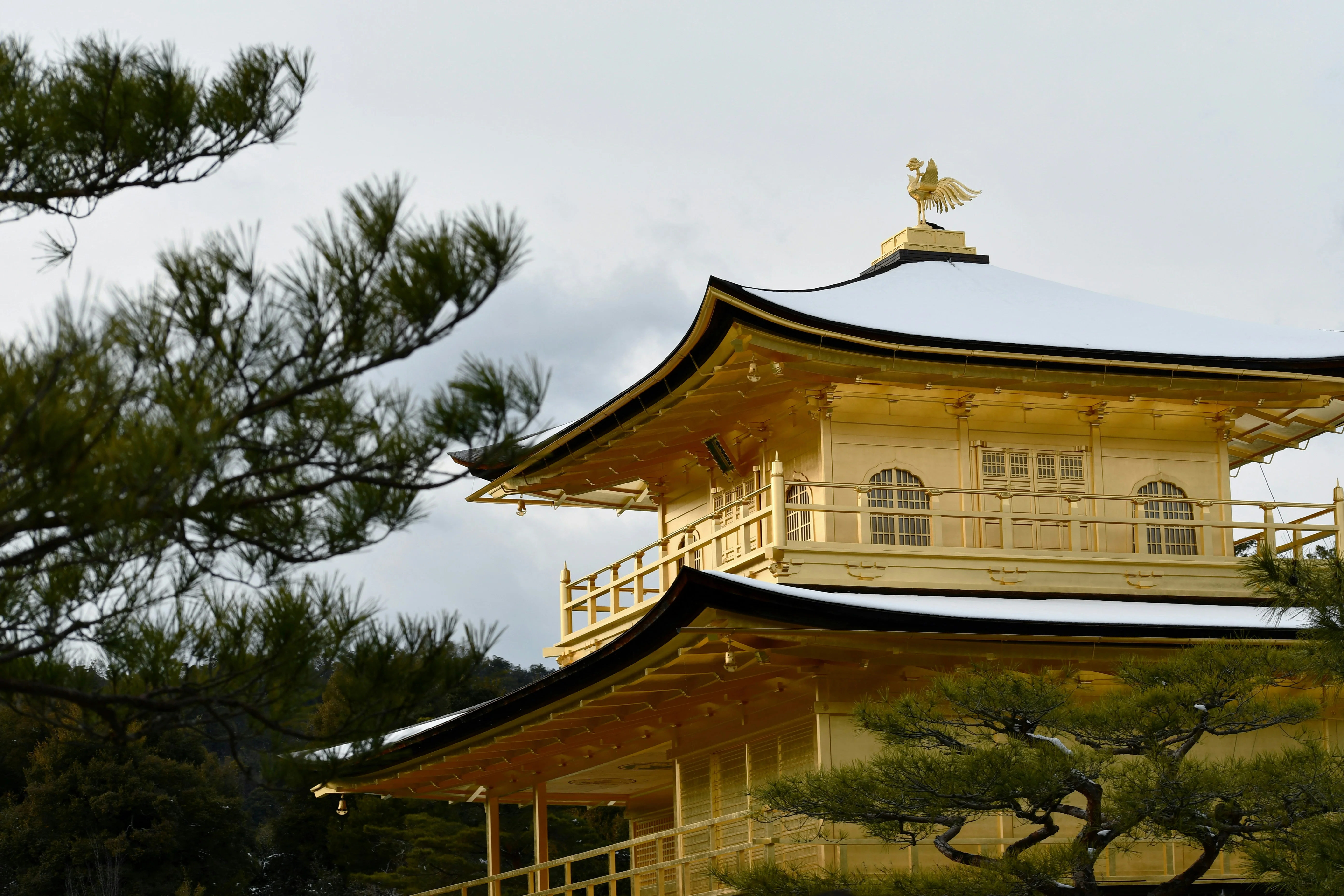 A Historical Linguistic Journey Through Kyoto's Winter Traditions