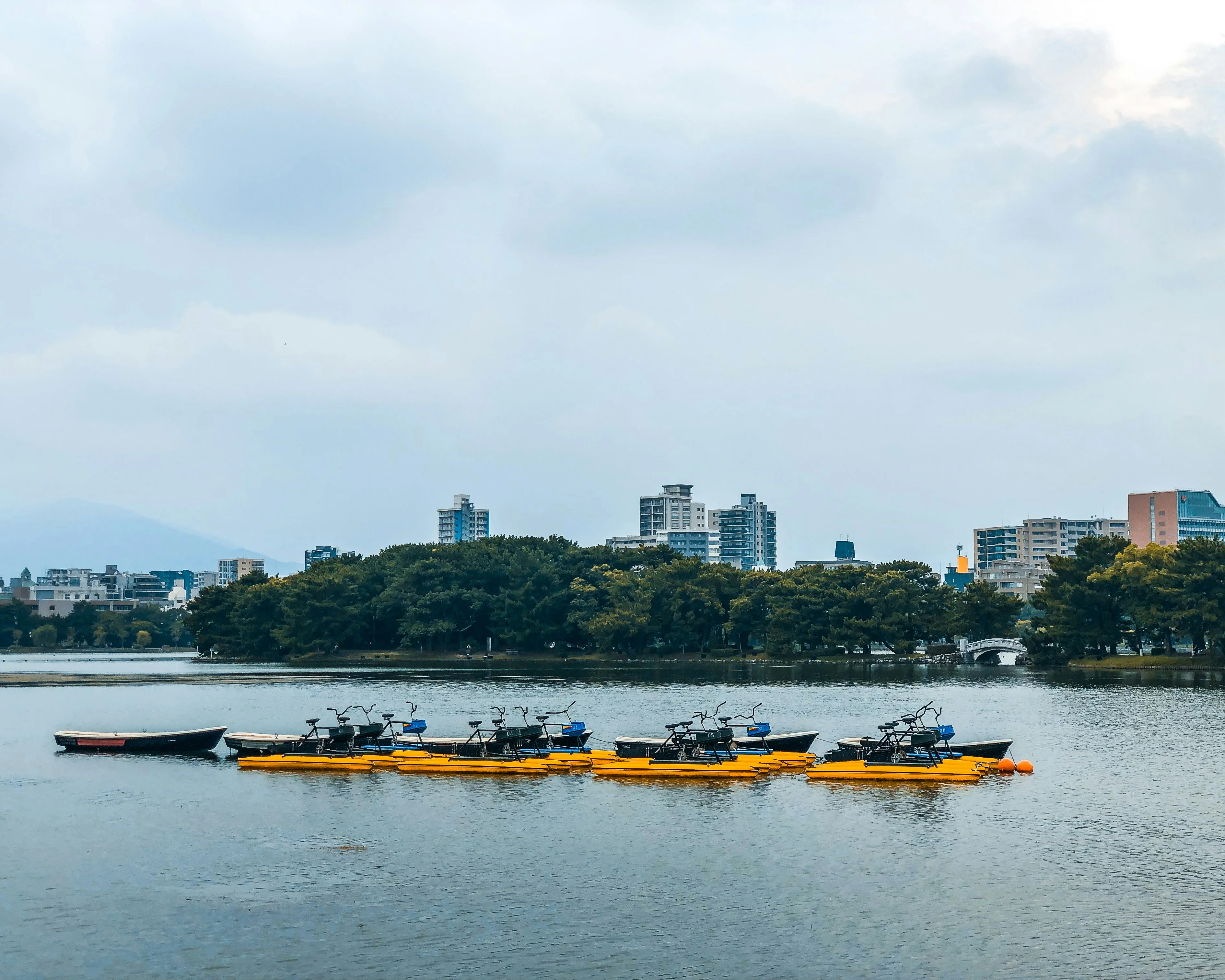 The Playful Otters of Fukuoka: A Linguistic Exploration of Their Habitat Image 3