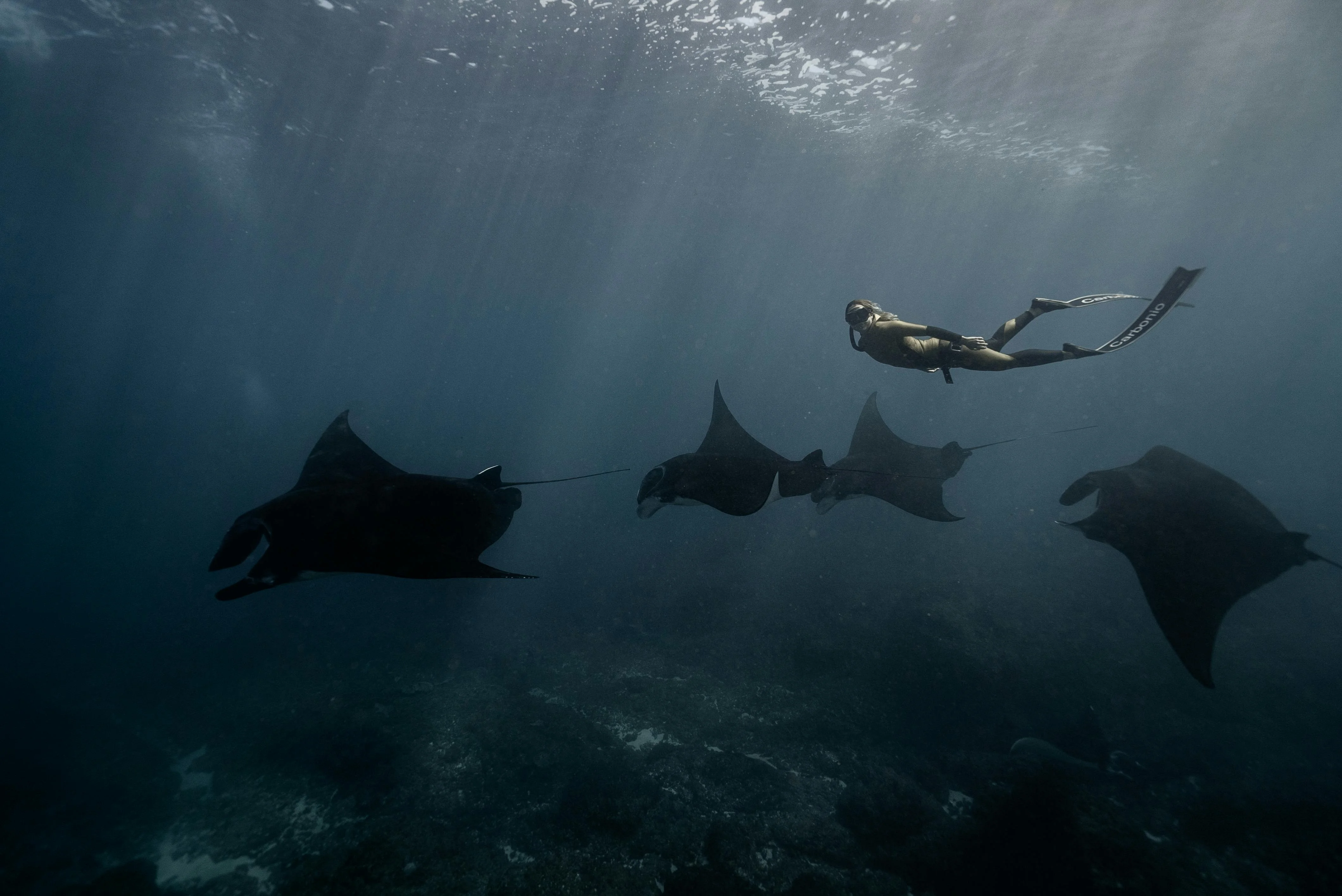 Sacred Seas: Understanding Coral Preservation Efforts Around Komodo Island Image 3