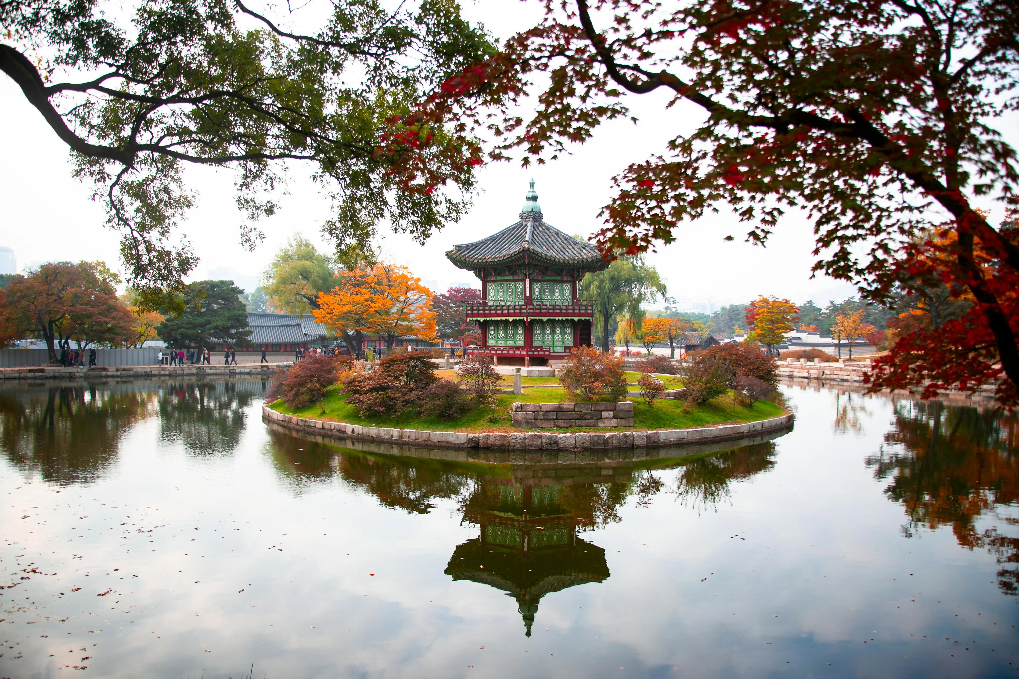 Seoul's Seasonal Splendor: Photographing Nature's Palette Sustainably Image 1