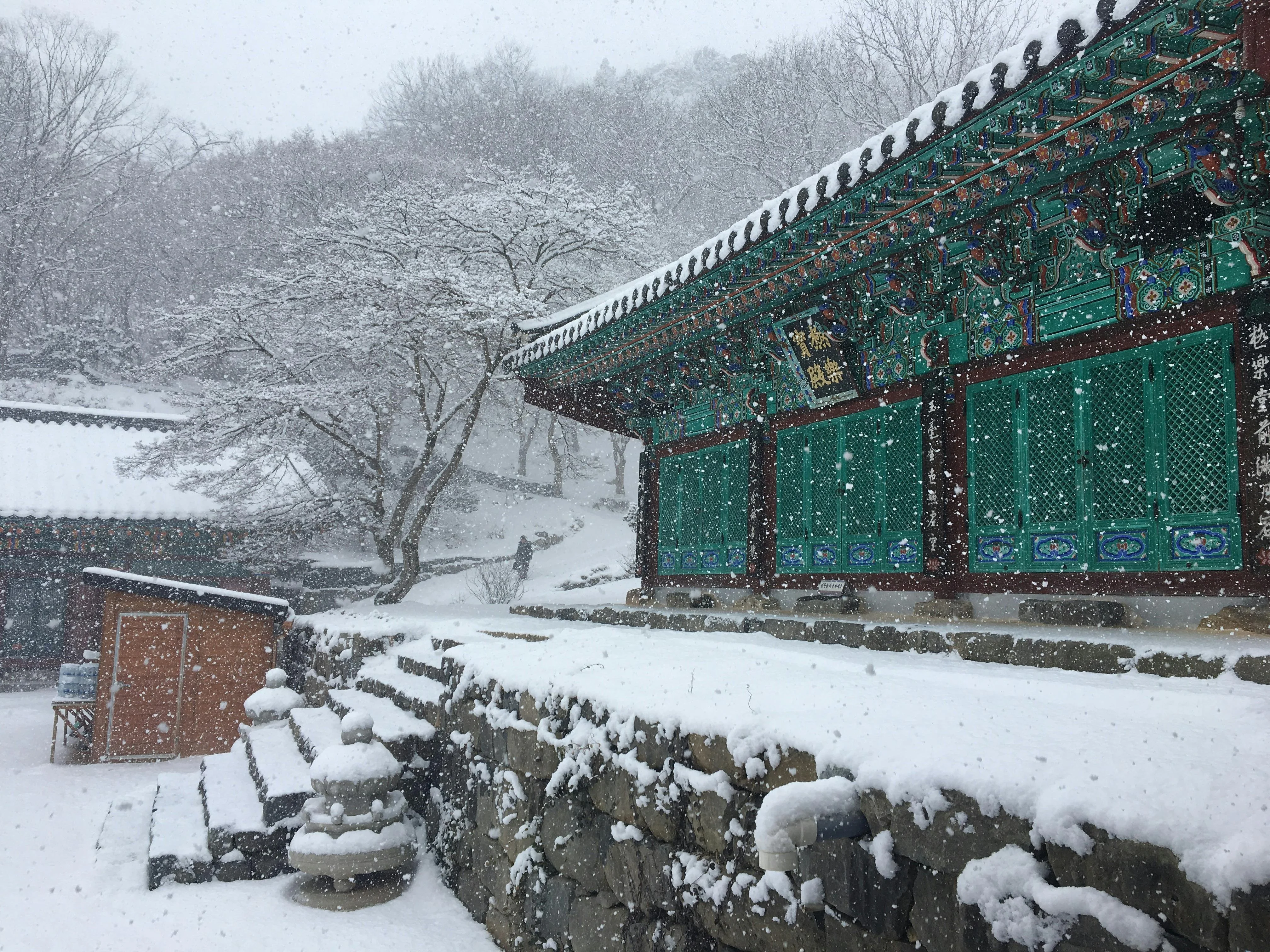 Seoul's Seasonal Splendor: Photographing Nature's Palette Sustainably Image 3