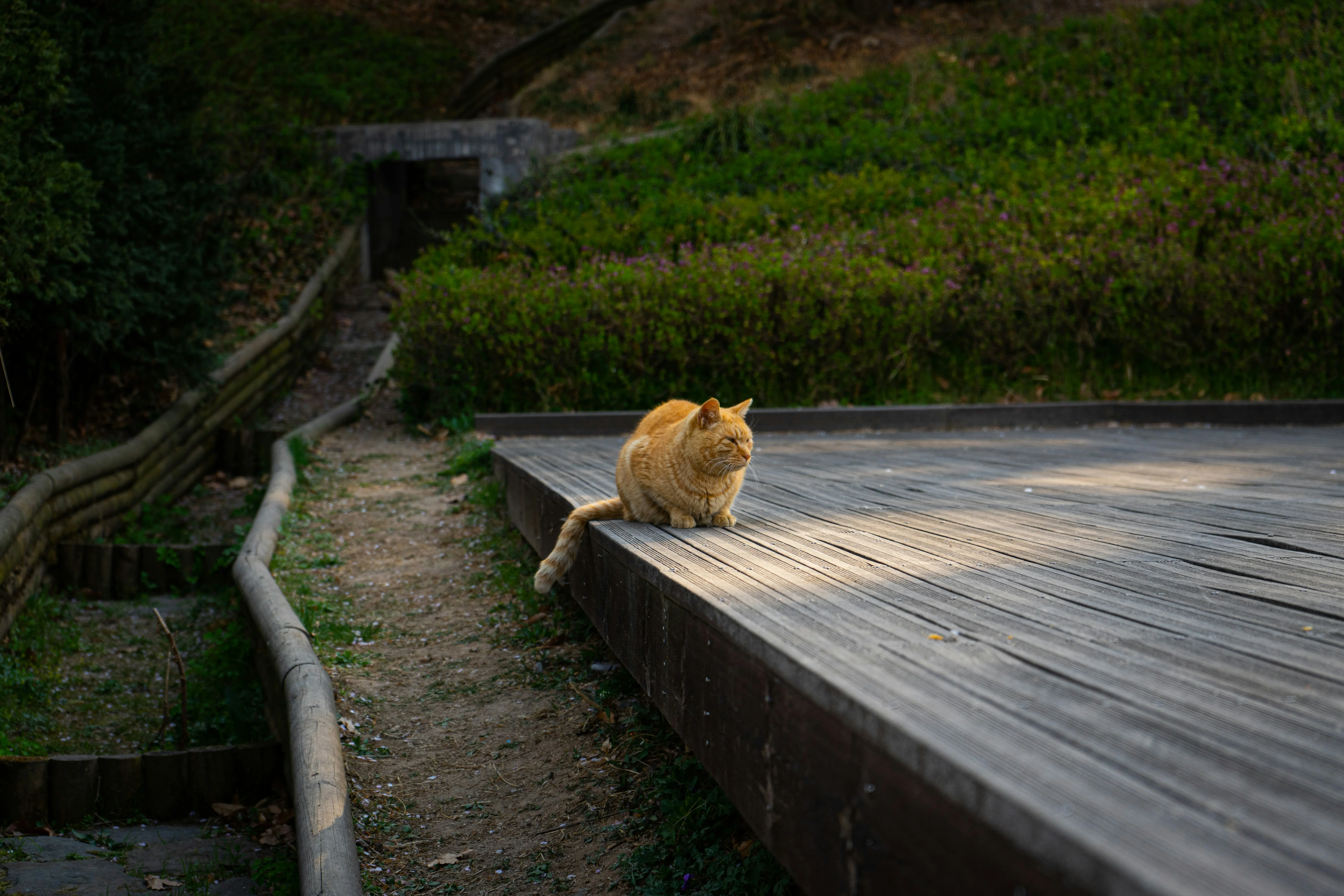 Exquisite Sculptures and Structures: Gangnam's Artistic Offerings for Pet Travelers Image 1