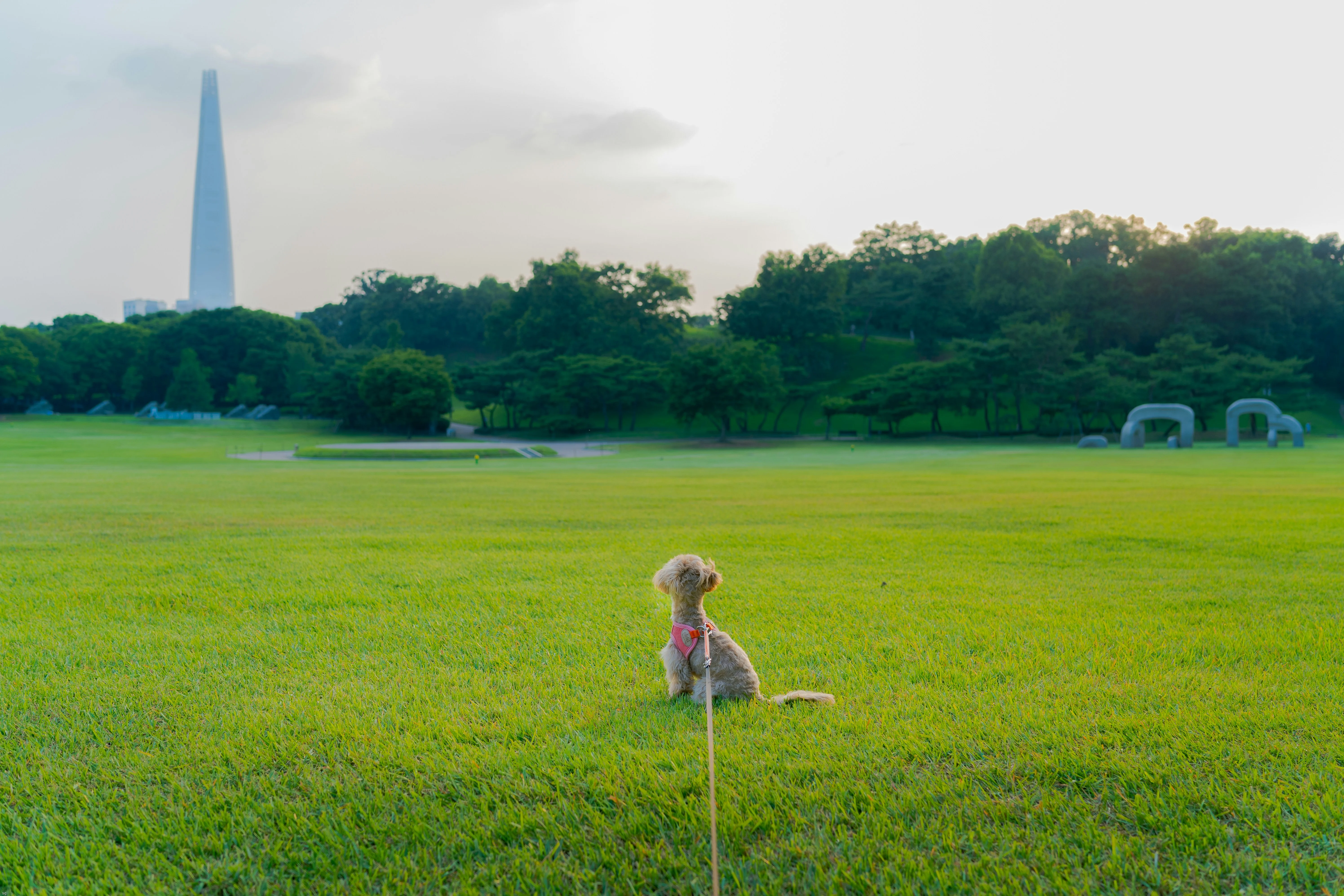 Exquisite Sculptures and Structures: Gangnam's Artistic Offerings for Pet Travelers