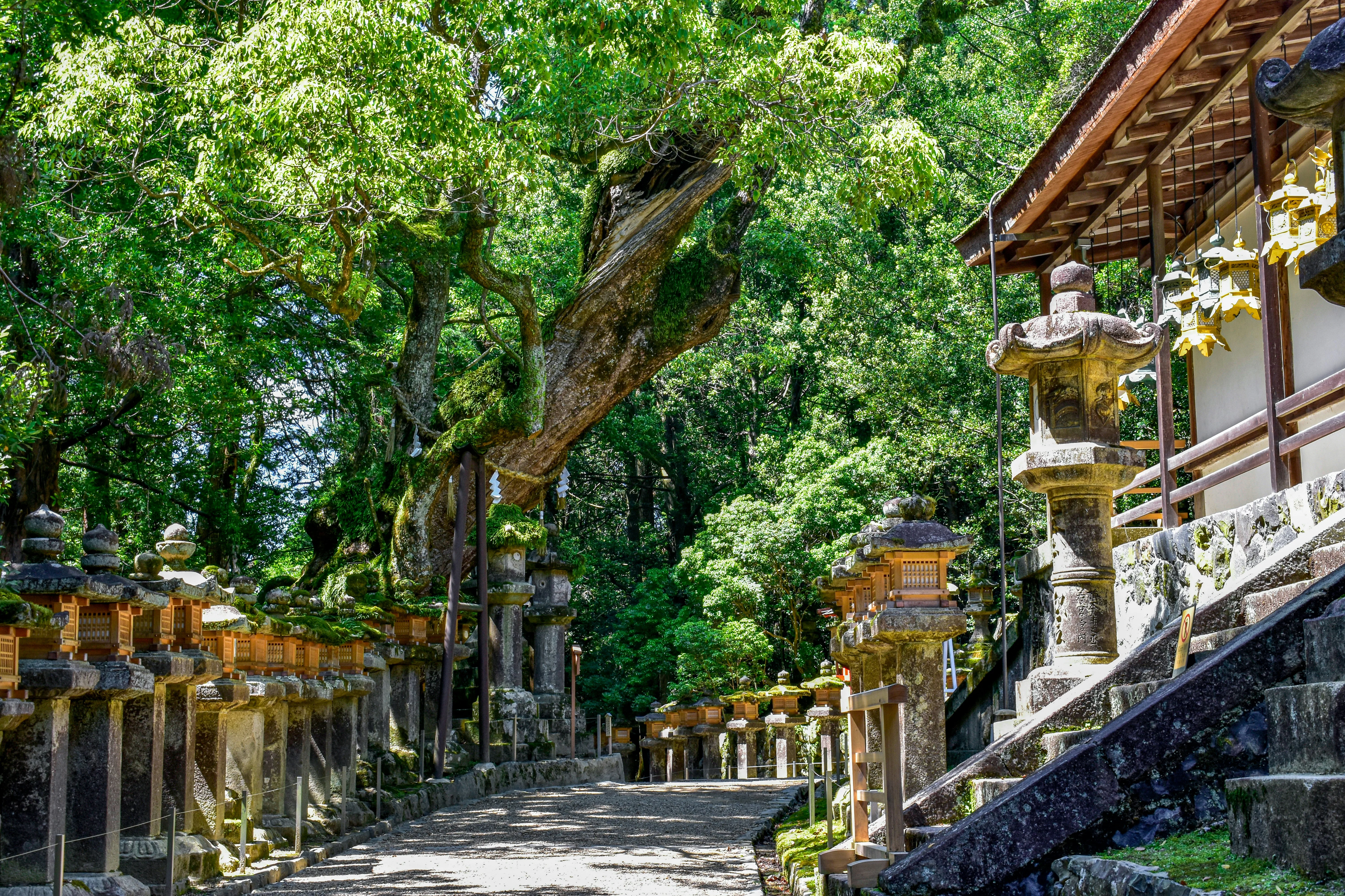 Mini Breaks in Nature: The Most Instagrammable Spots in Nara's Scenic Beauty Image 2