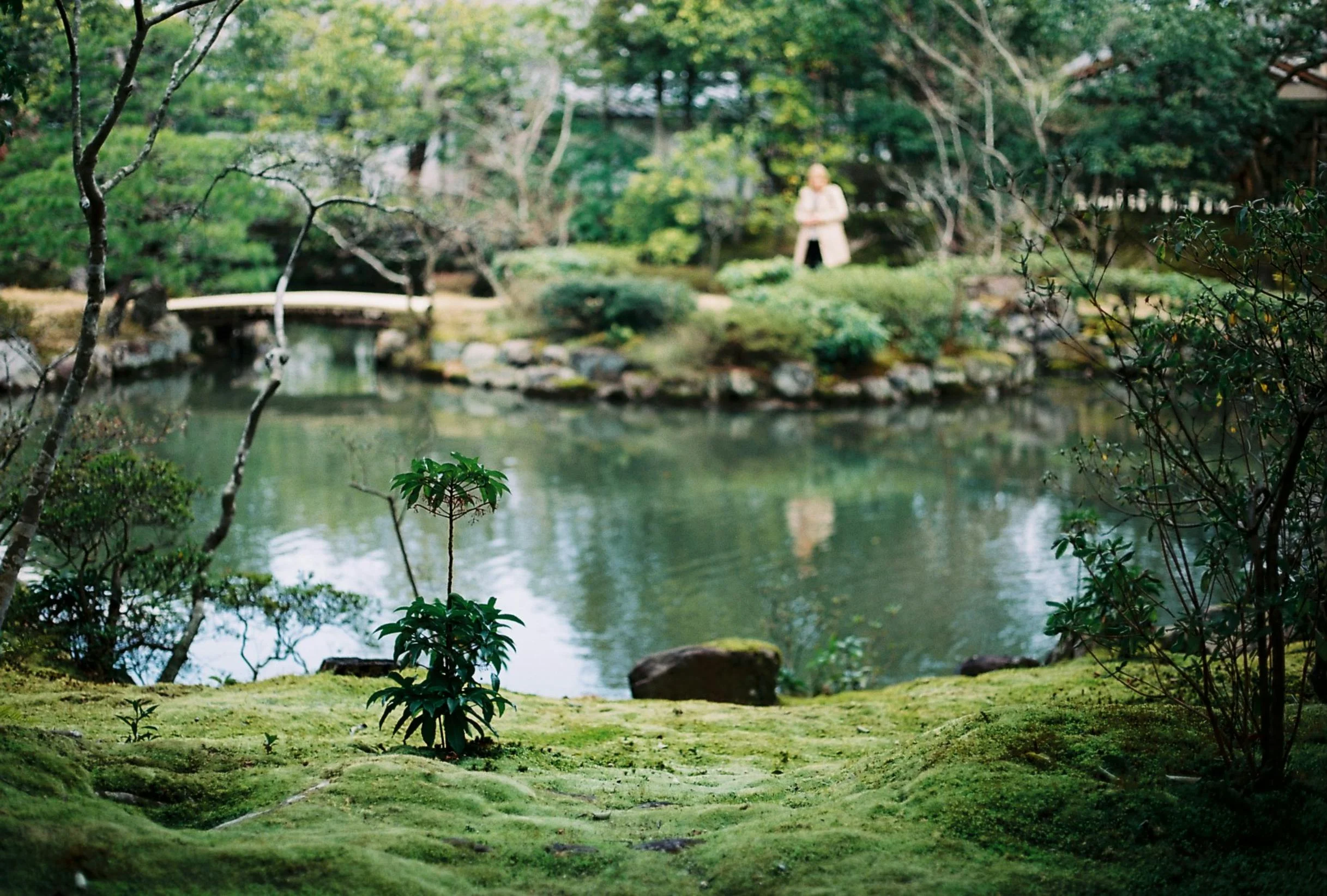 Mini Breaks in Nature: The Most Instagrammable Spots in Nara's Scenic Beauty Image 3