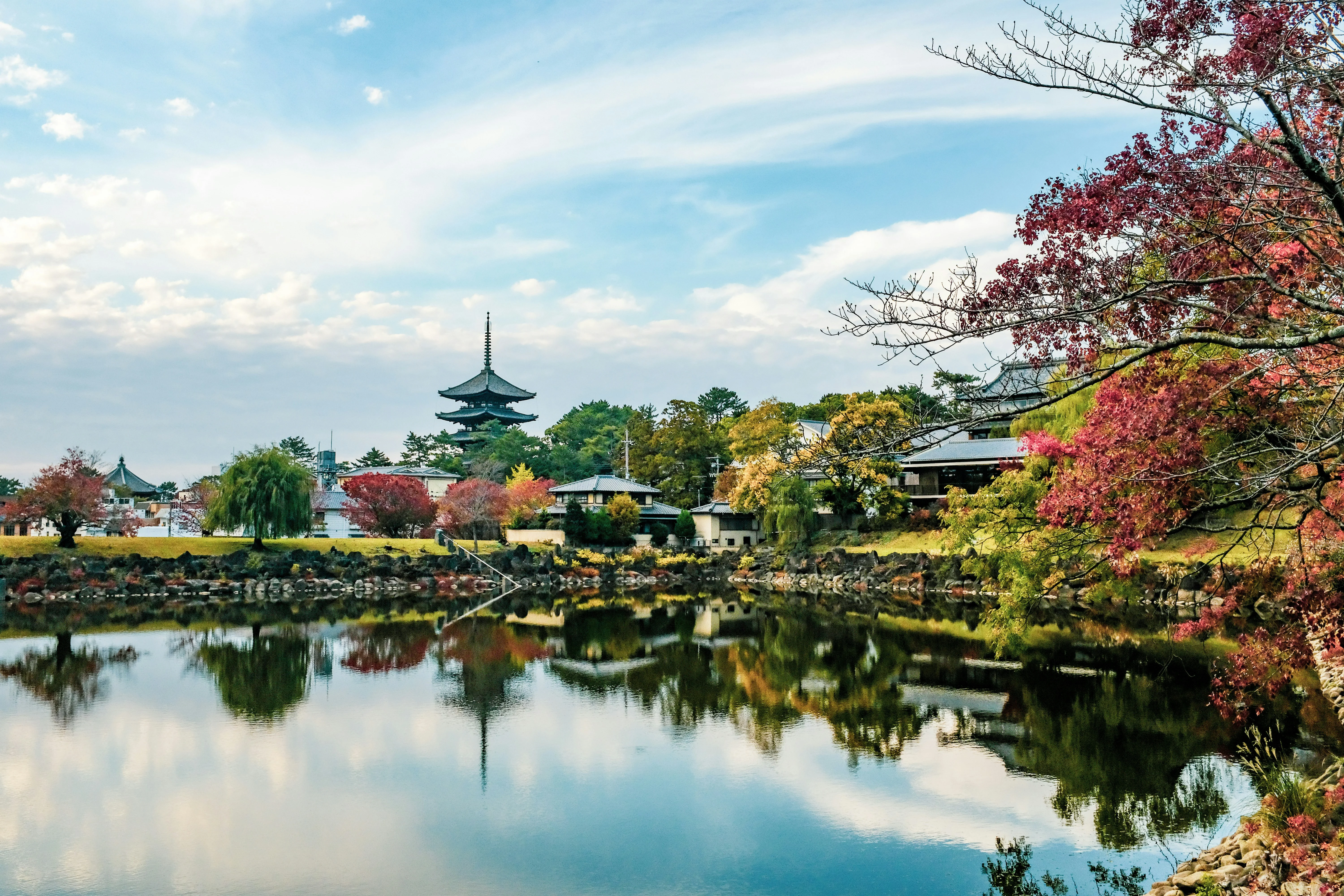 Mini Breaks in Nature: The Most Instagrammable Spots in Nara's Scenic Beauty