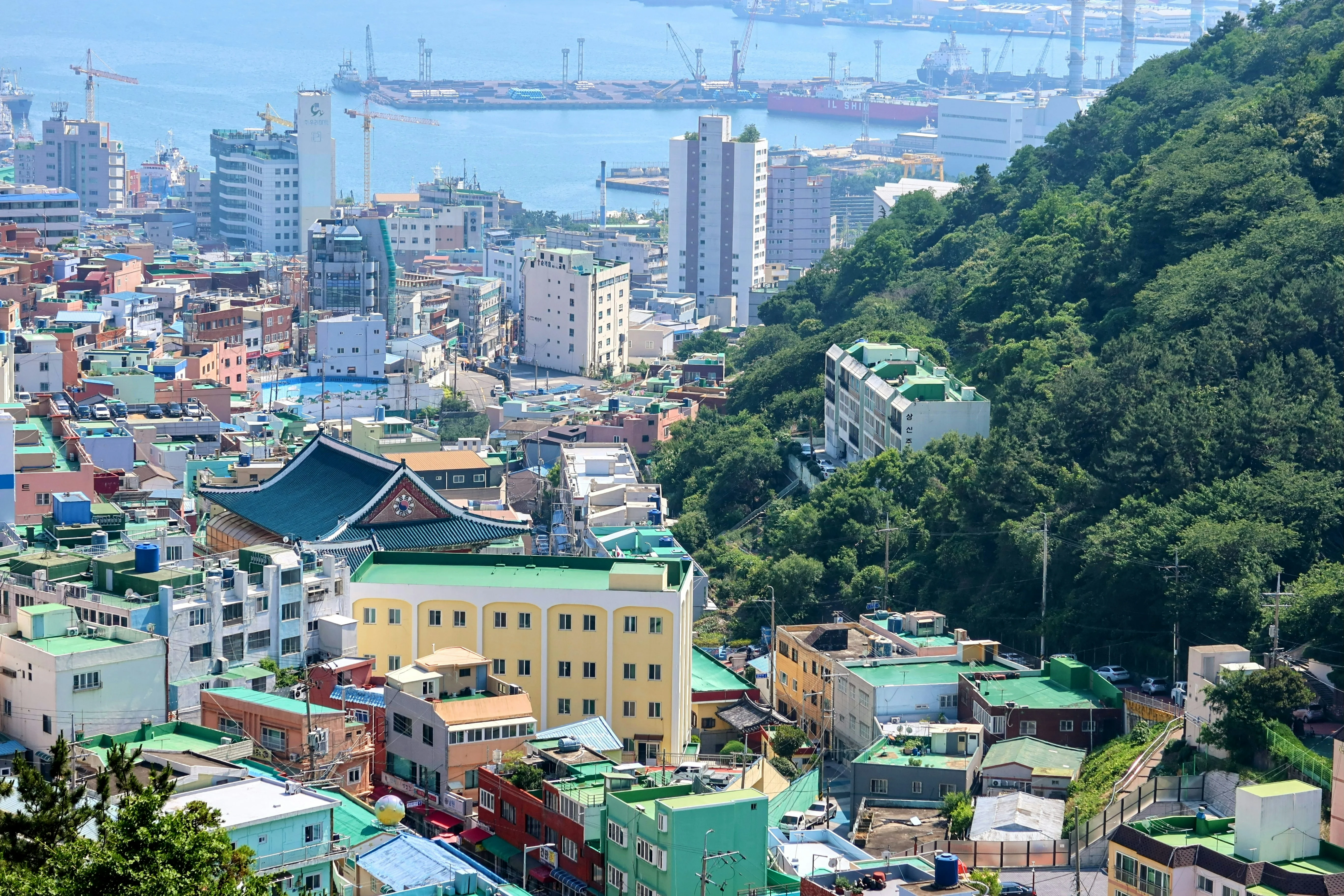 Soothing Senses: Accessible Tea Houses and Zen Gardens Around Busan