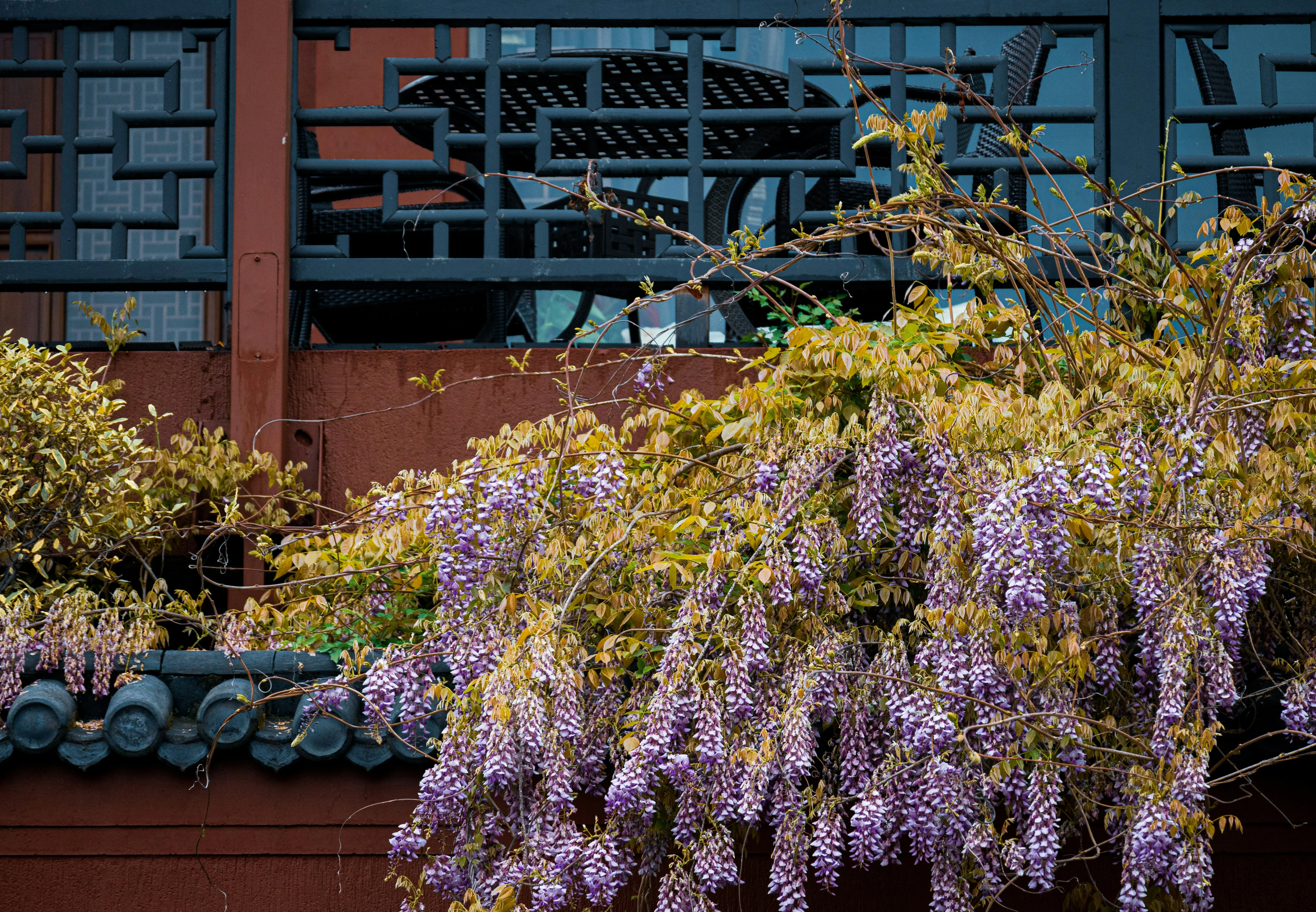 Tranquil Retreats: Exploring the Zen Gardens of Hangzhou Image 1