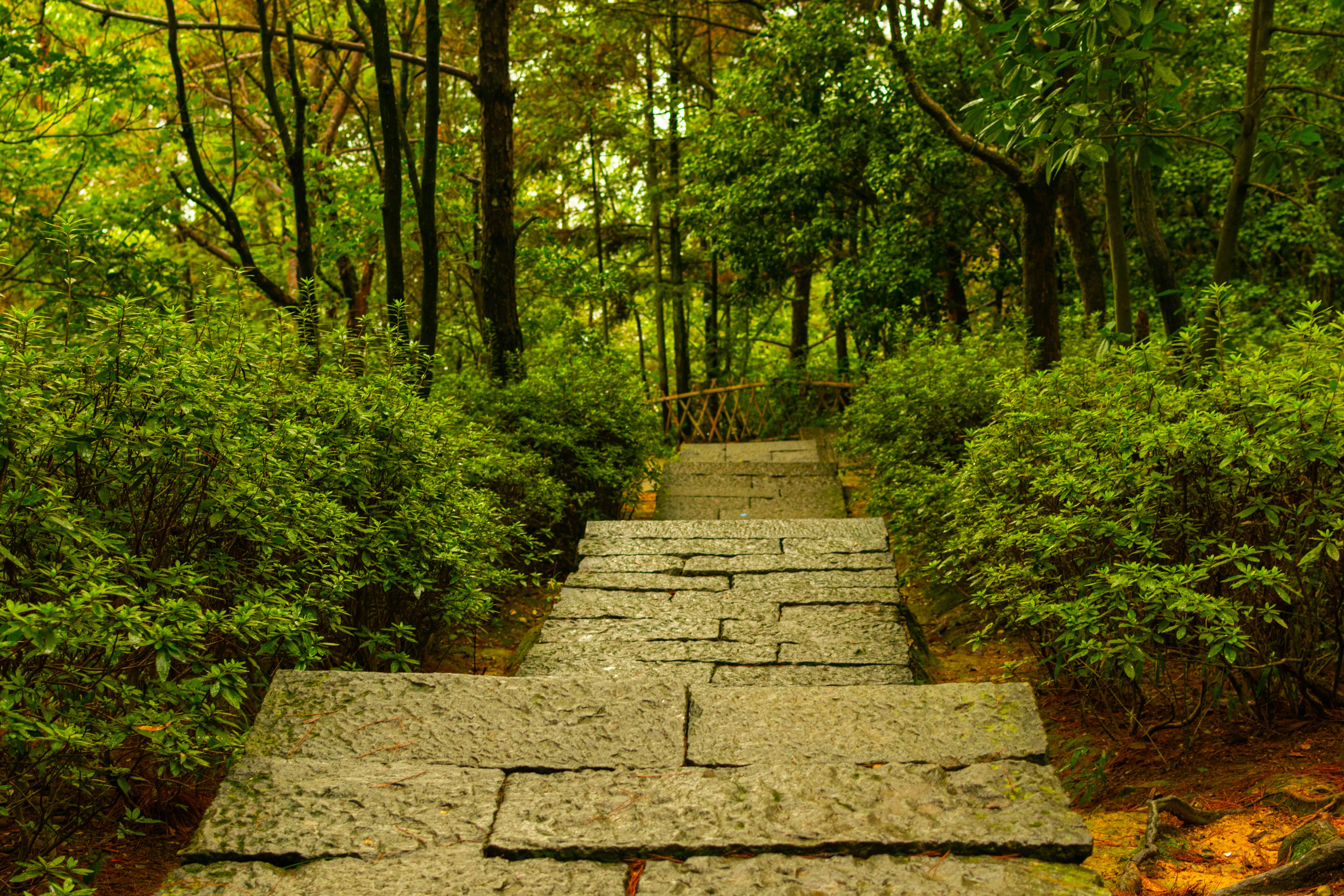 Tranquil Retreats: Exploring the Zen Gardens of Hangzhou