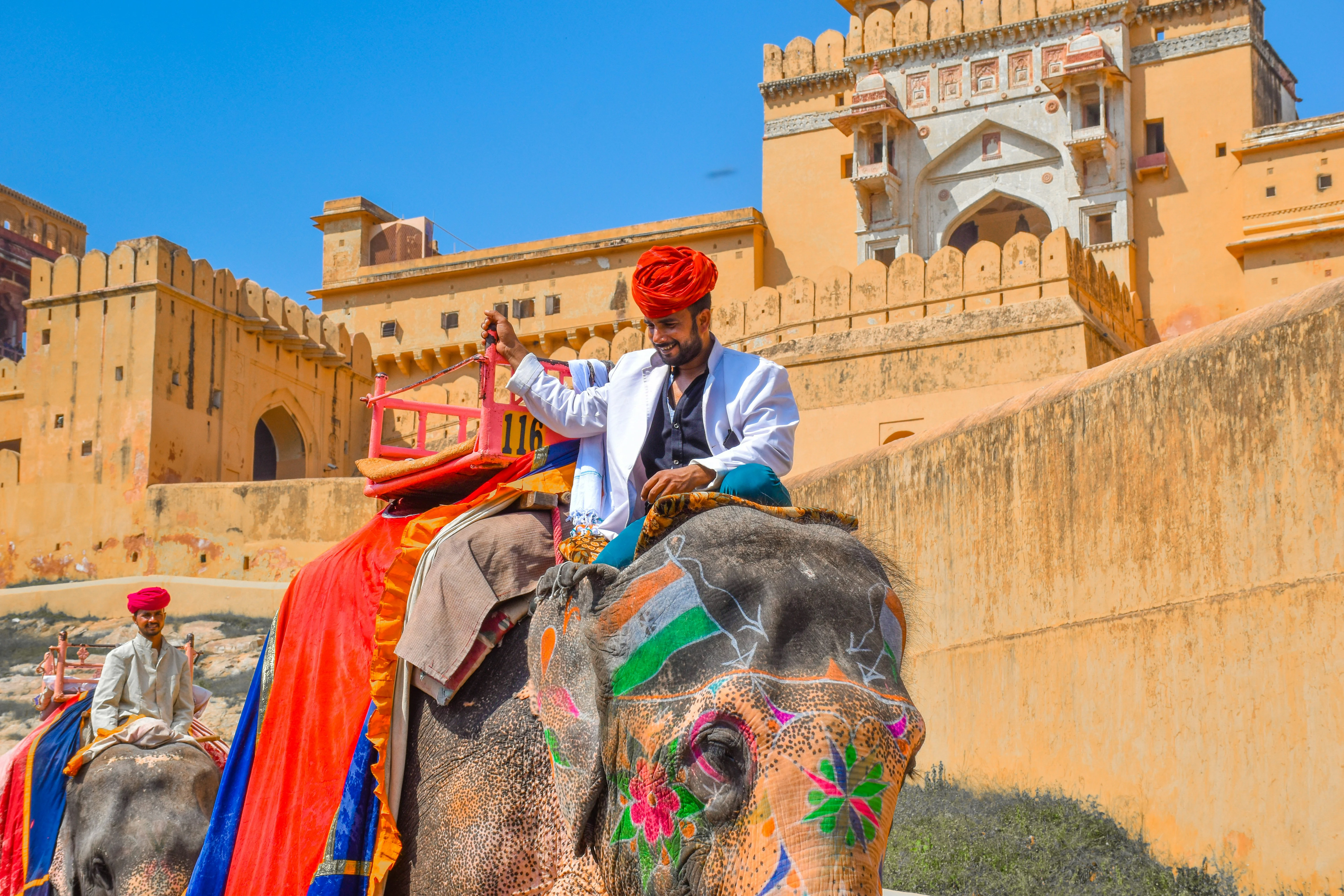 Scenic Spots Beyond the City: Day Trips from Jaipur for Solo Travelers with Pets Image 1