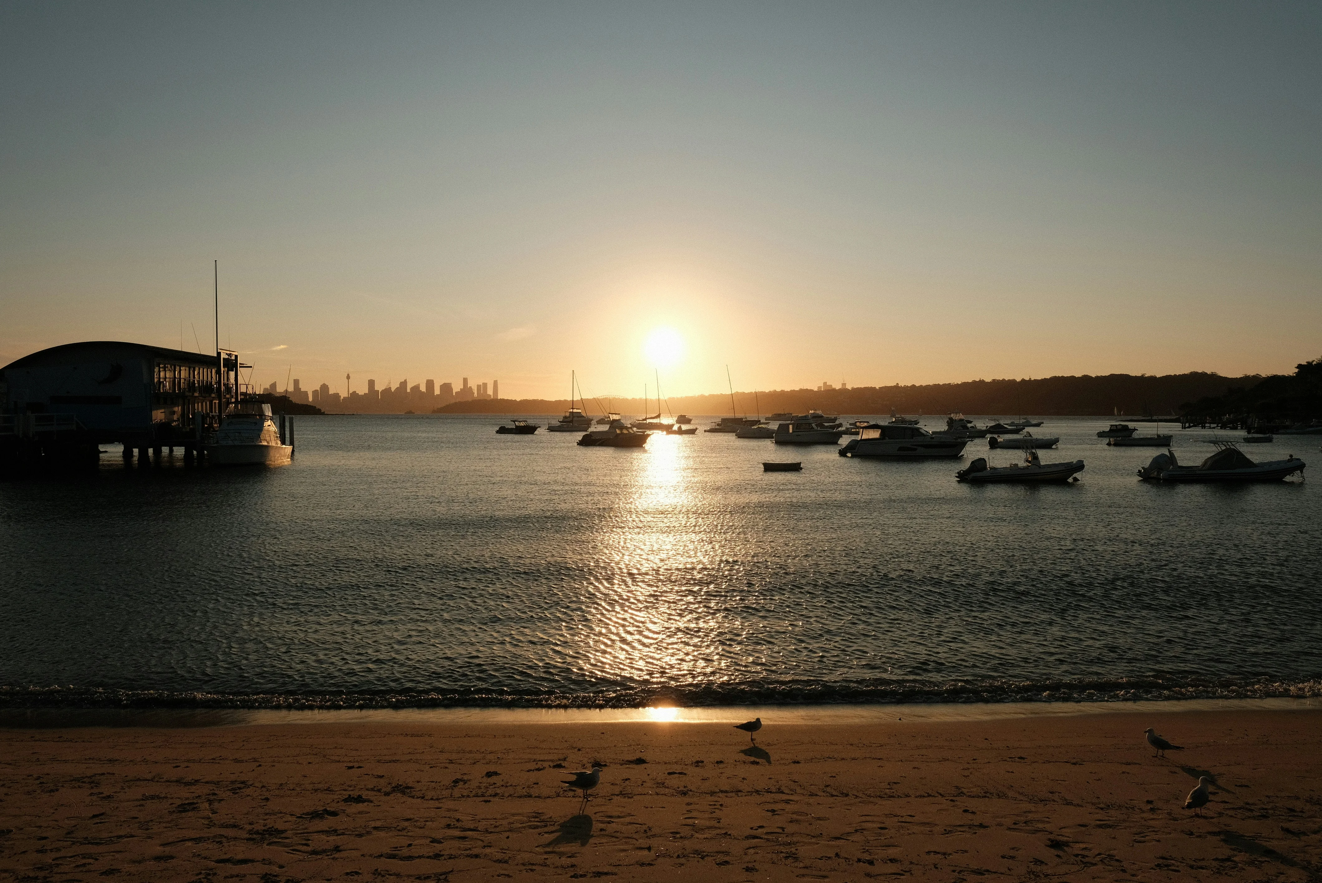 Reeling in Romance: Couple's Fishing Tours Around Sydney Harbour Image 3