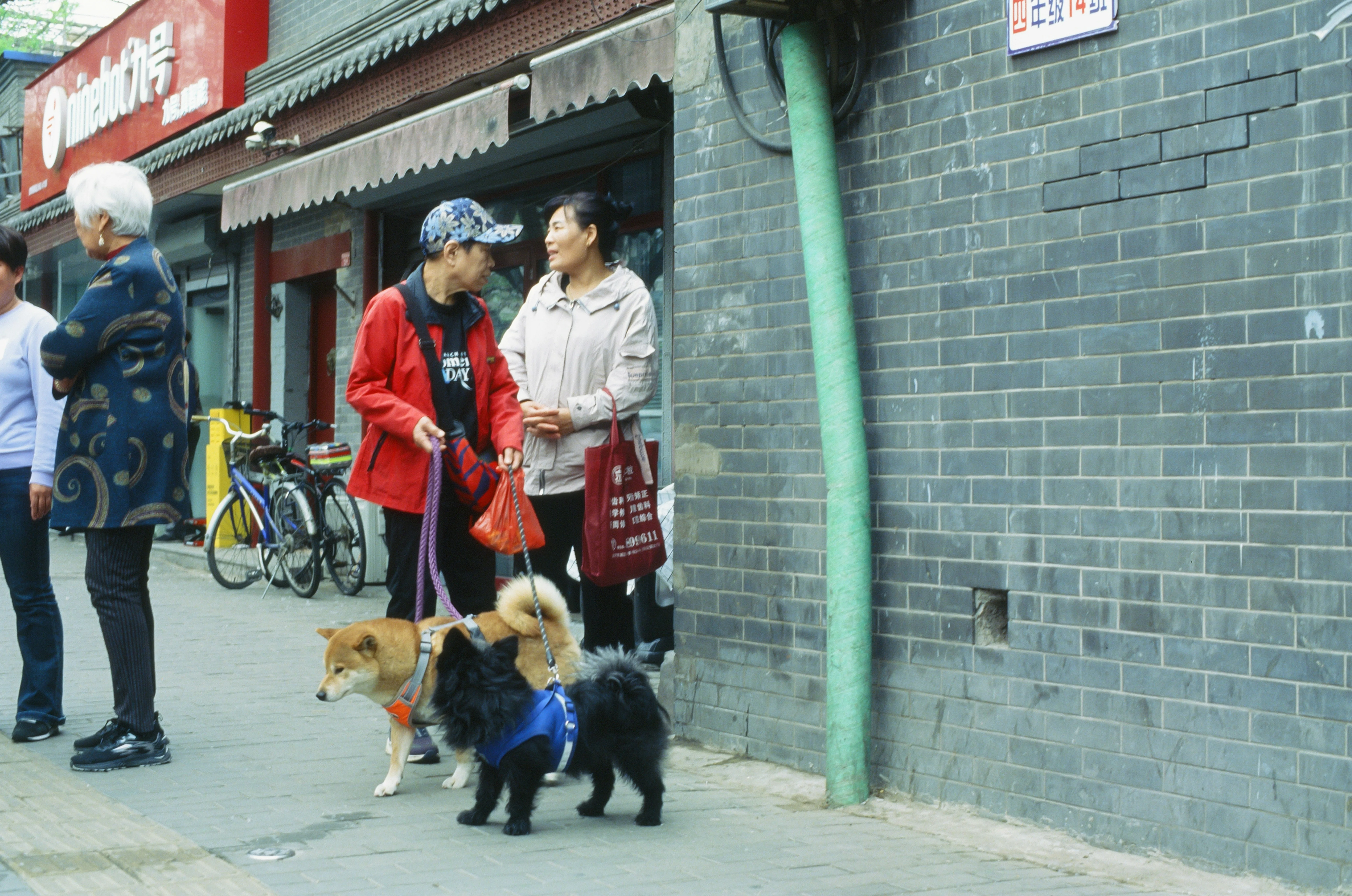 Culinary Companions: Simple Yet Romantic Dining Experiences in Beijing Image 1