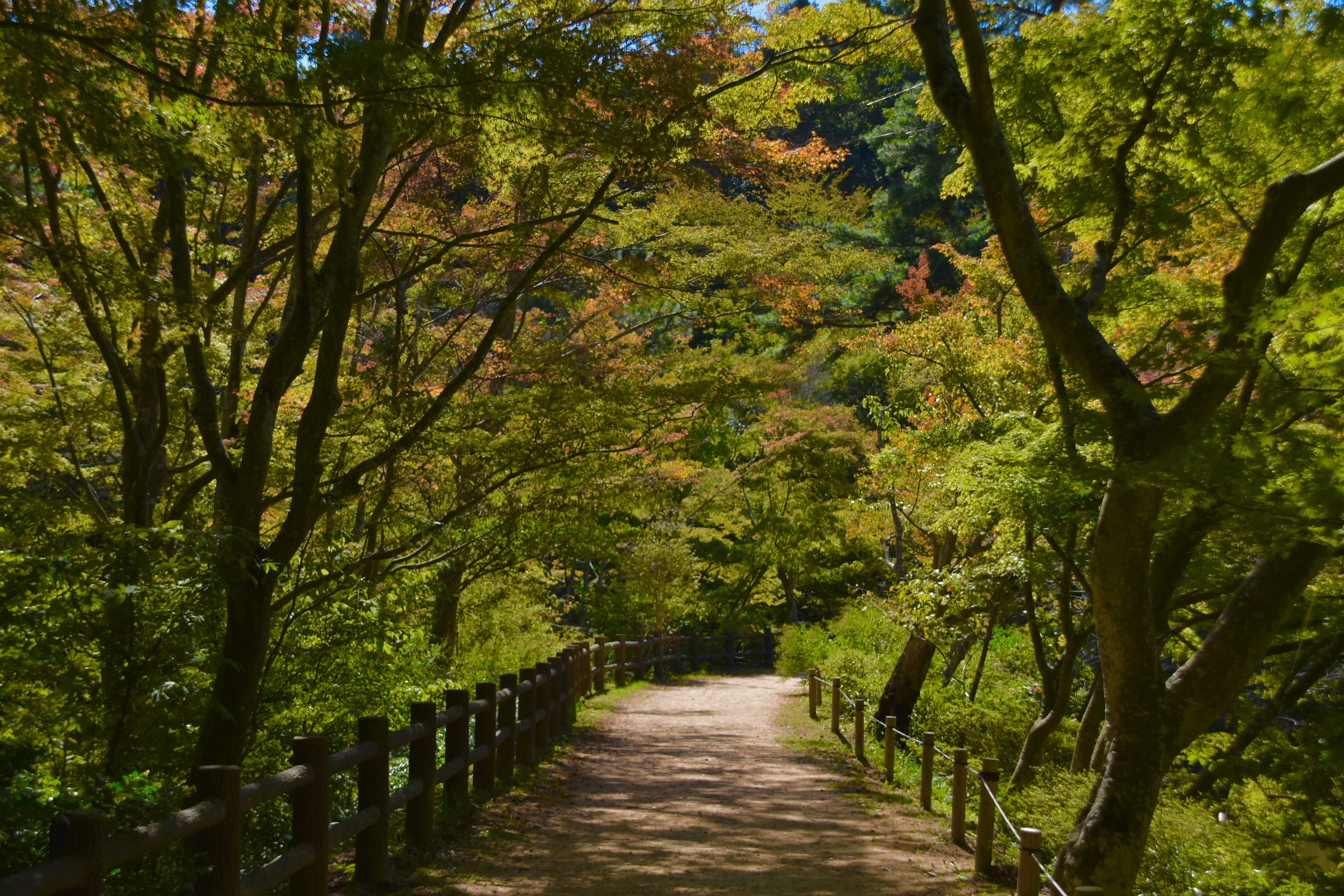 Zen and the Art of Luxury Camping in Kobe's Picturesque Wilderness Image 3