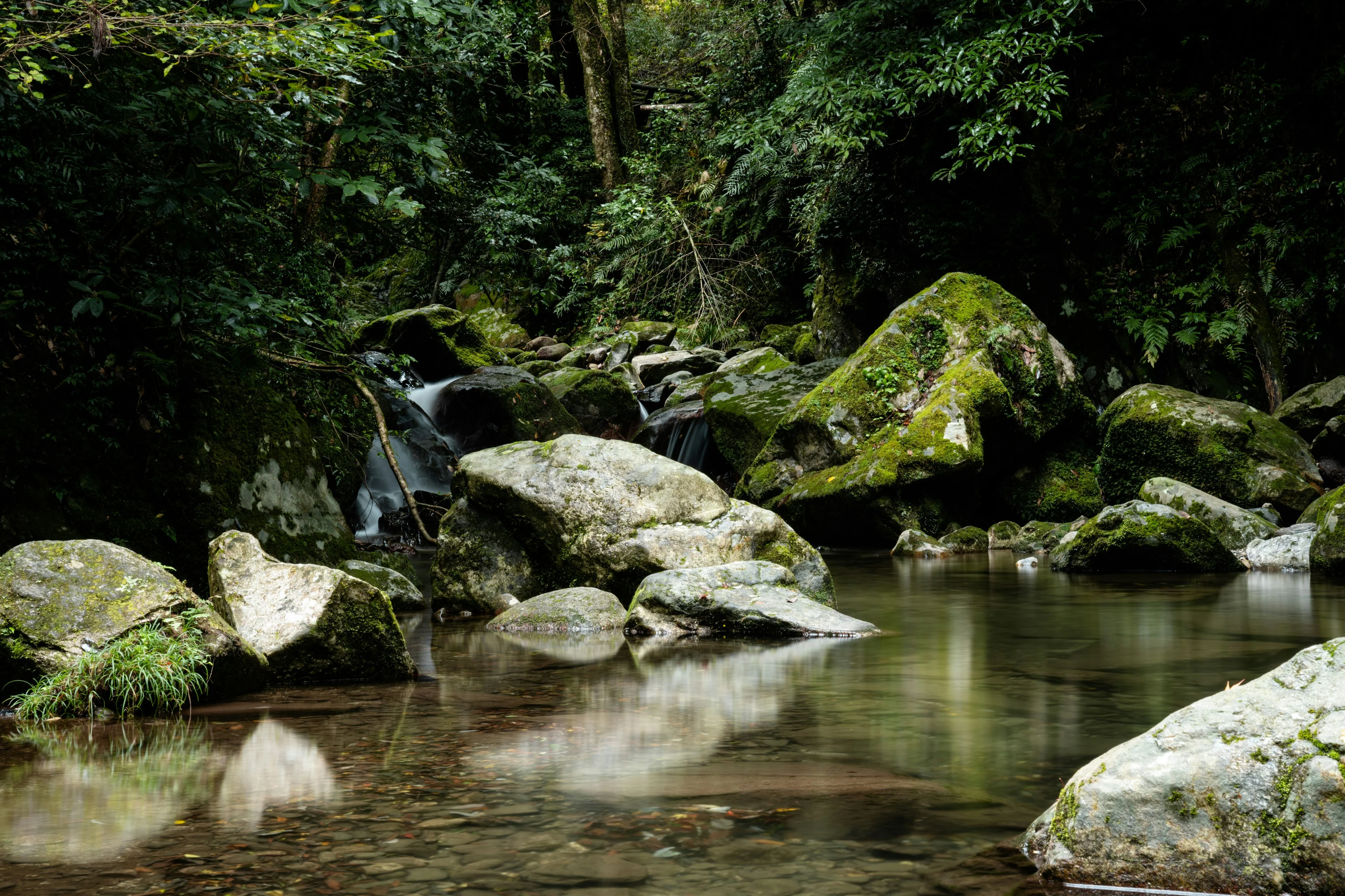 Finding Zen in the Wild: Meditation Retreats Amidst Fukuoka's Forests Image 1