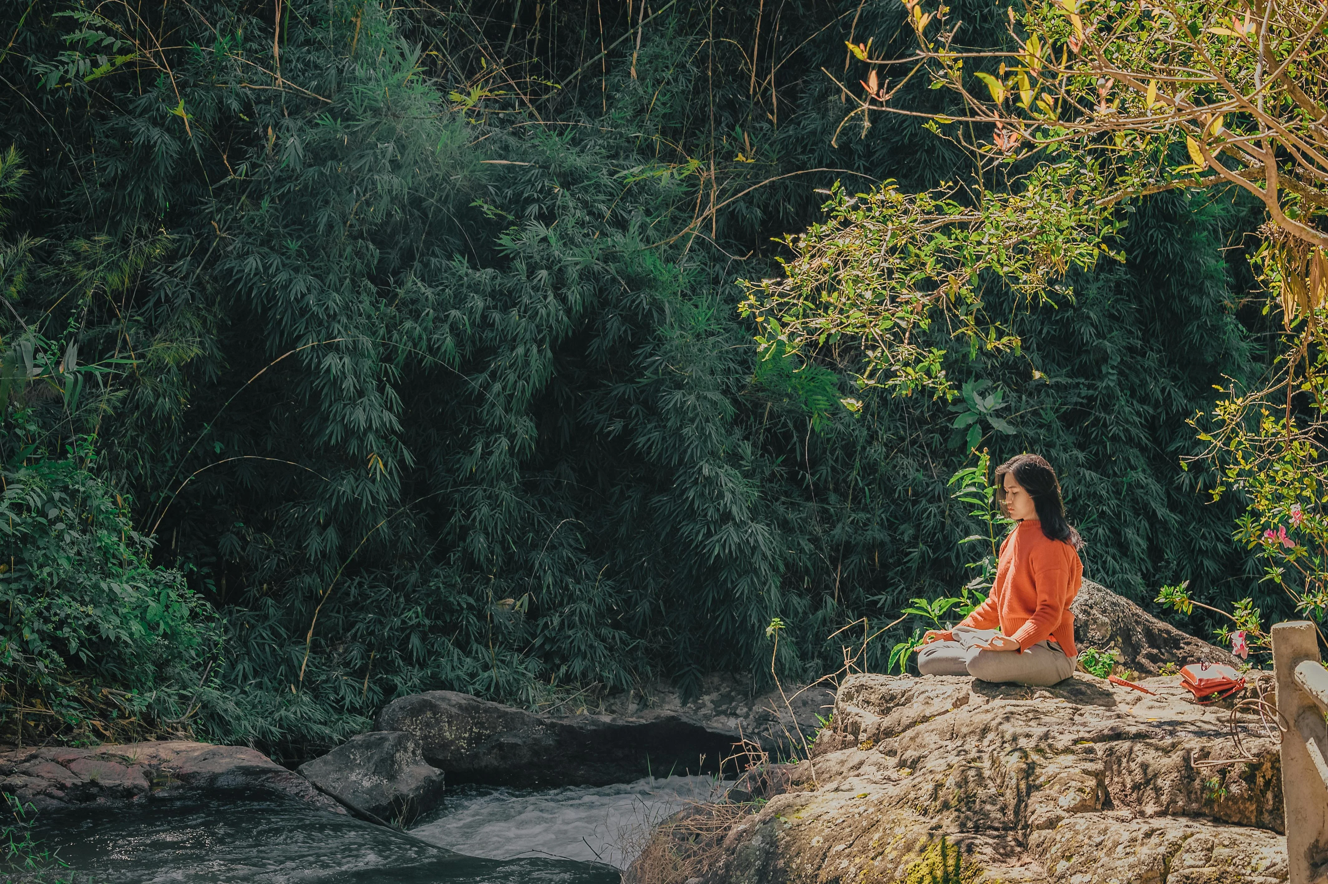 Finding Zen in the Wild: Meditation Retreats Amidst Fukuoka's Forests Image 2