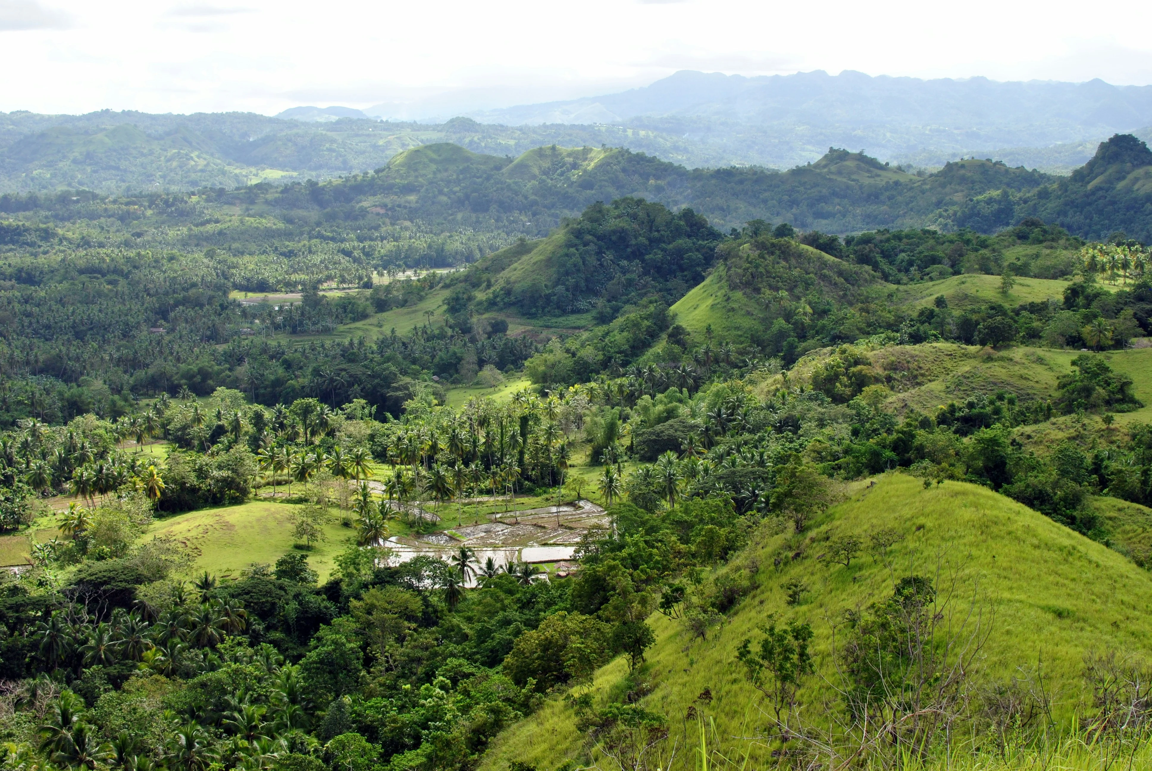 Pinoy Pride: Celebrating Philippine Festivals with an Eco-Conscious Twist