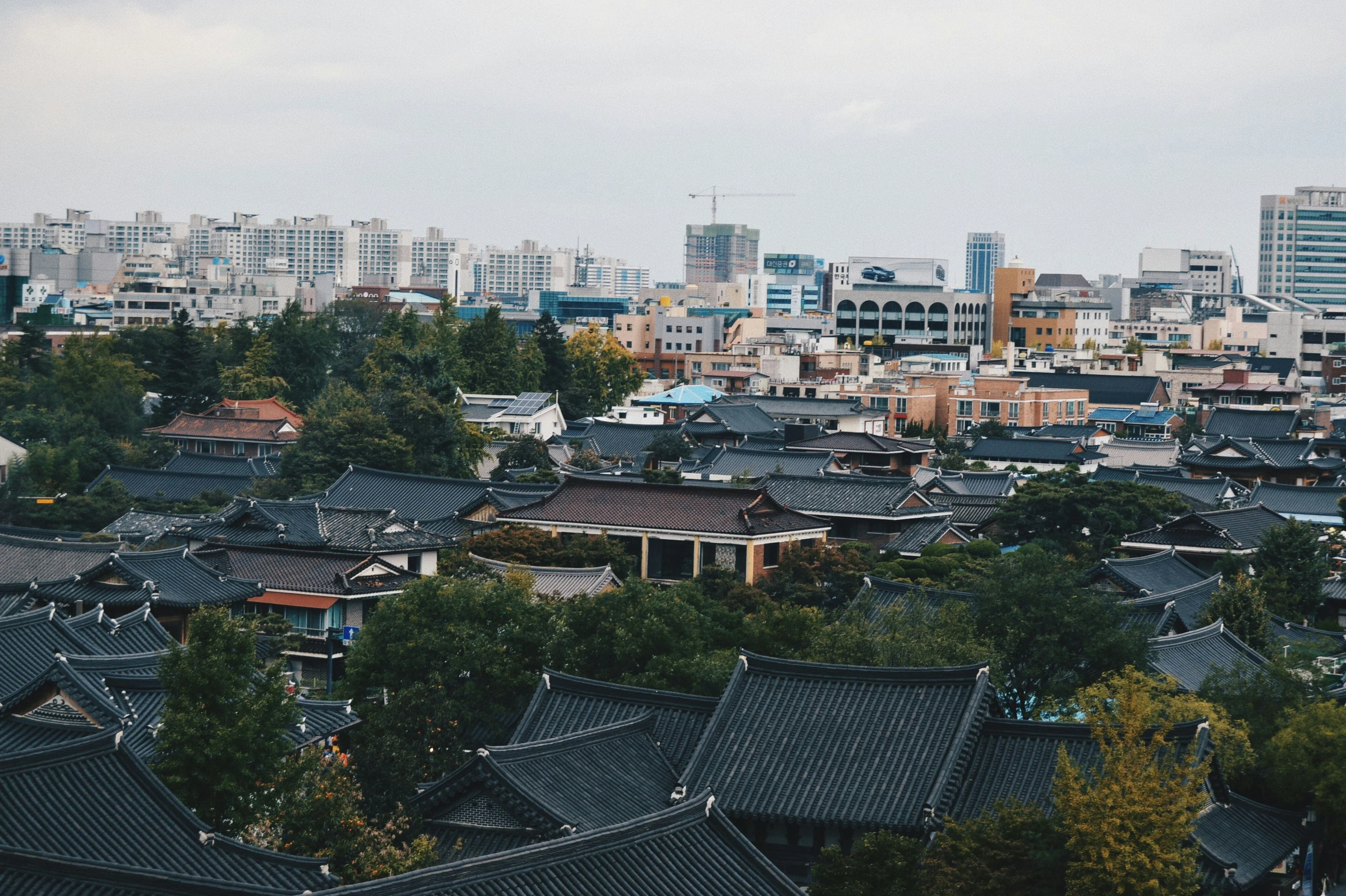 From Traditional to Modern: Gangnam's Architectural Journey with Your Furry Companion Image 1