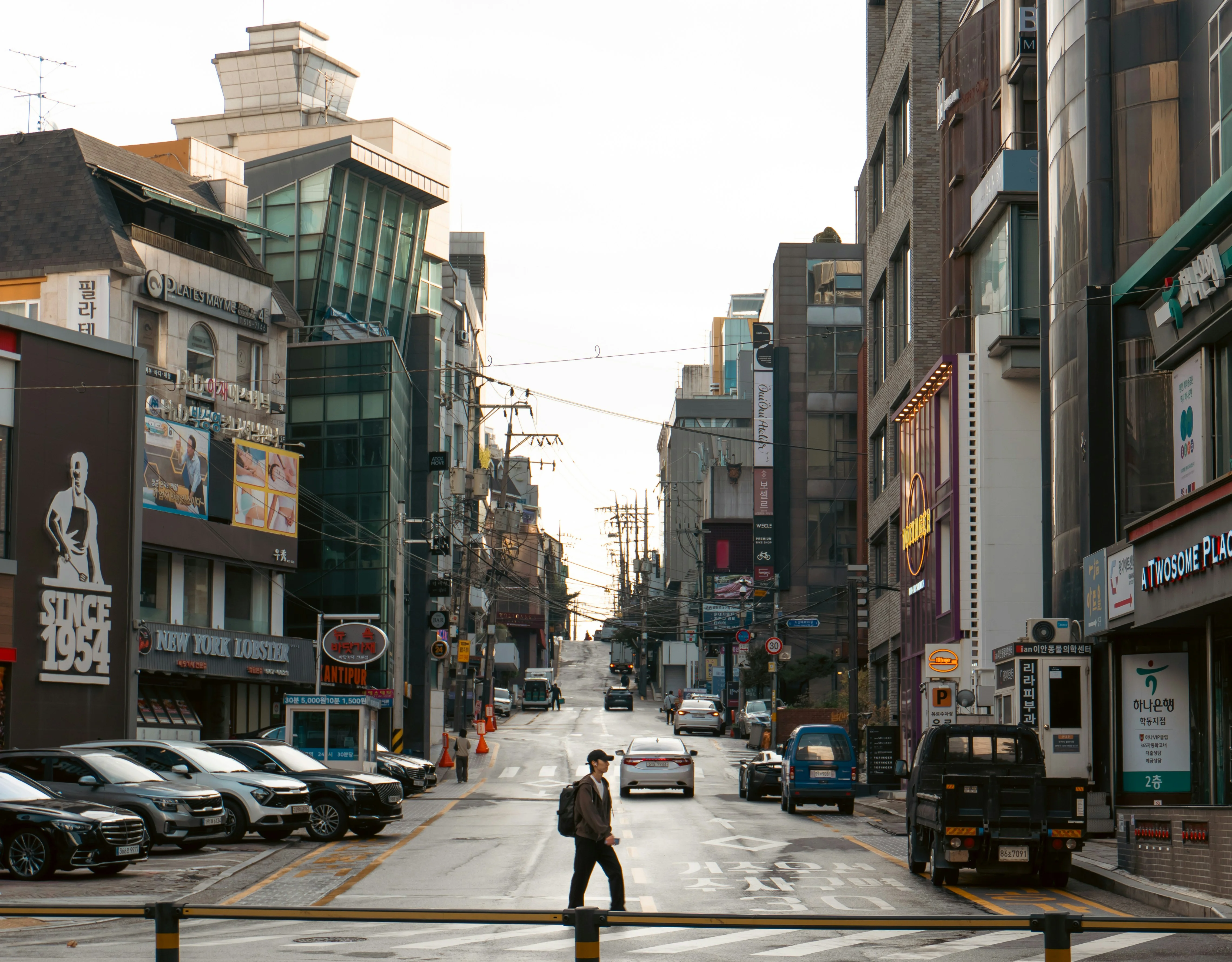 From Traditional to Modern: Gangnam's Architectural Journey with Your Furry Companion Image 2