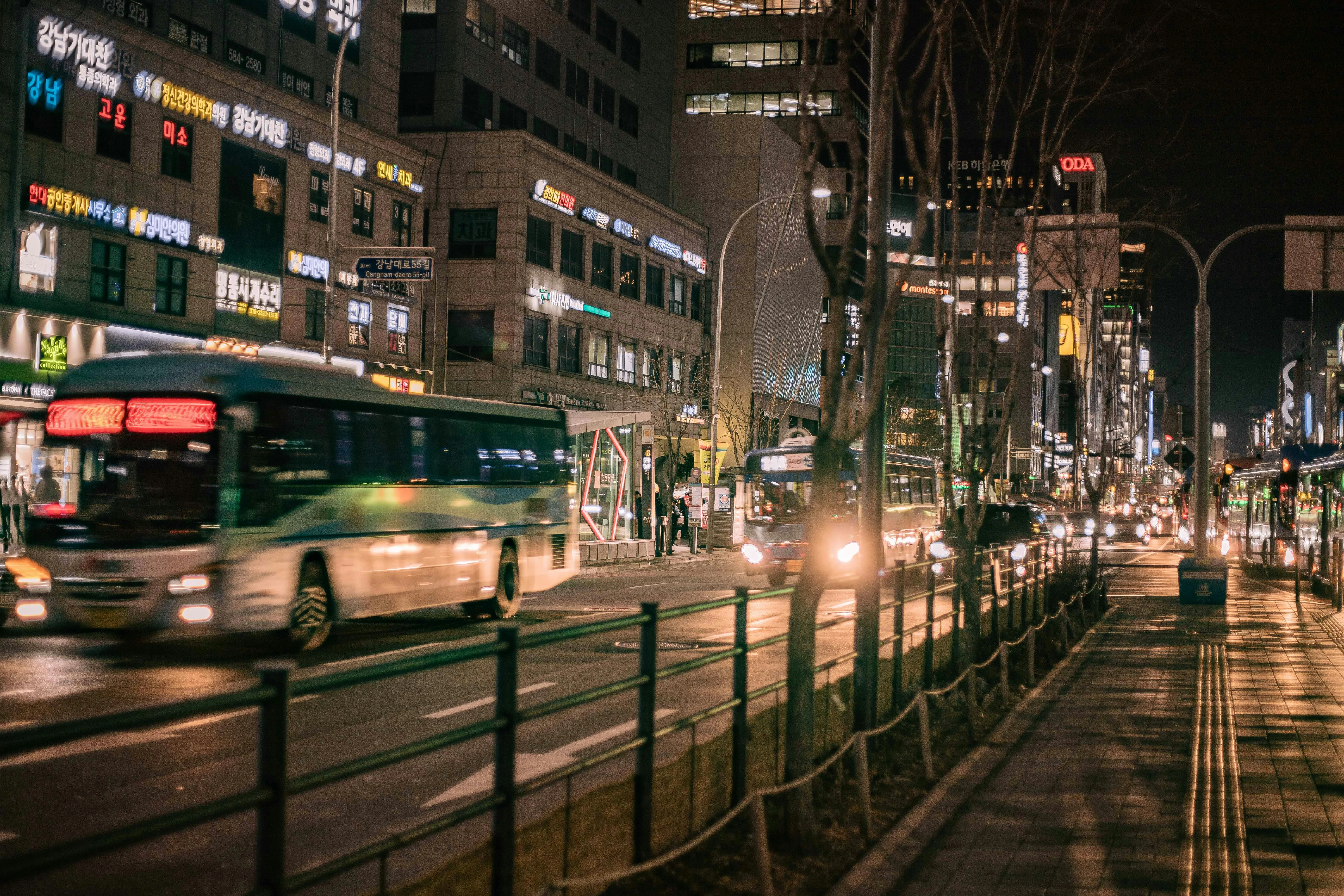 From Traditional to Modern: Gangnam's Architectural Journey with Your Furry Companion