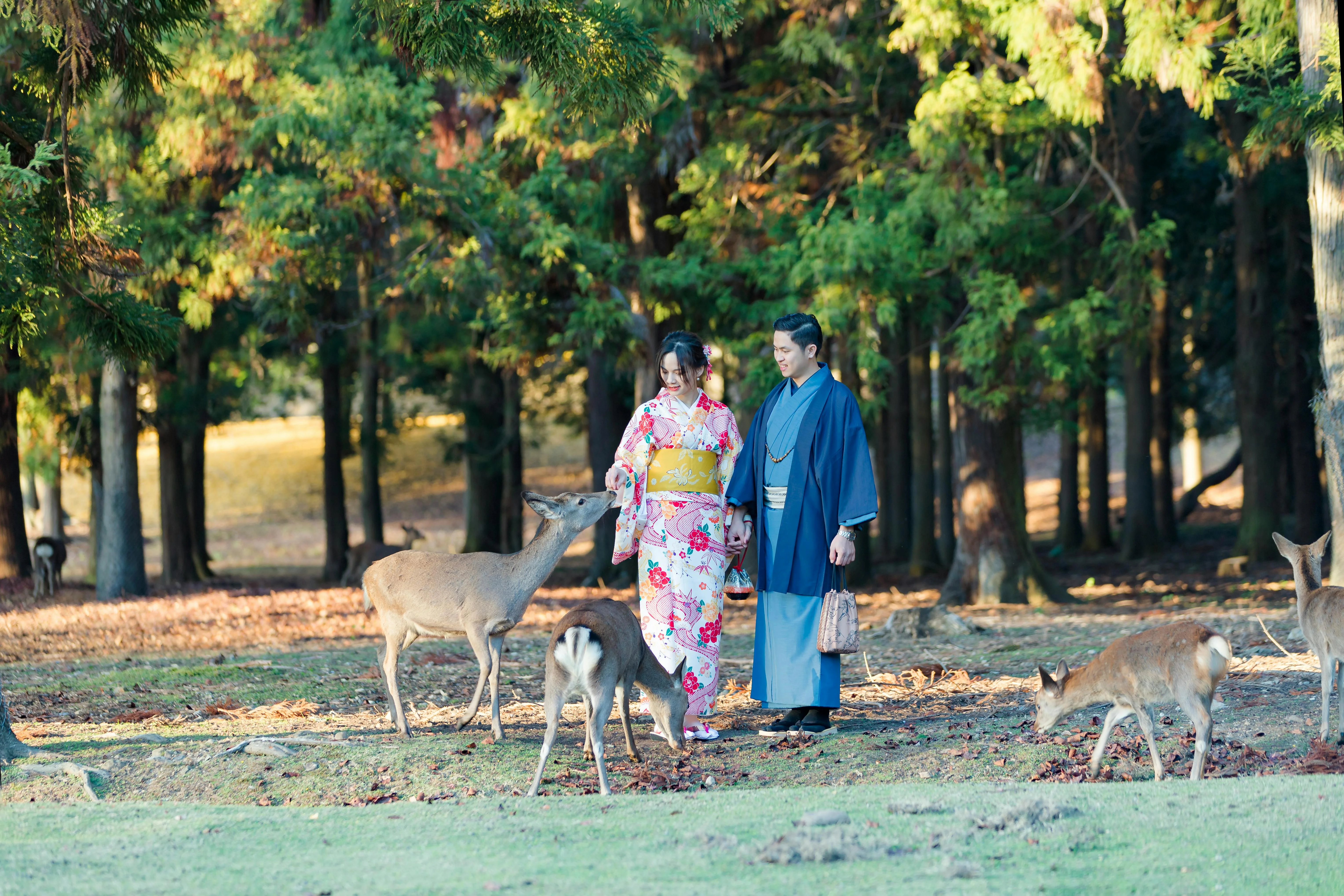 On a Historical High: Fashionable Walking Tours Through Nara's Ancient Temples Image 3