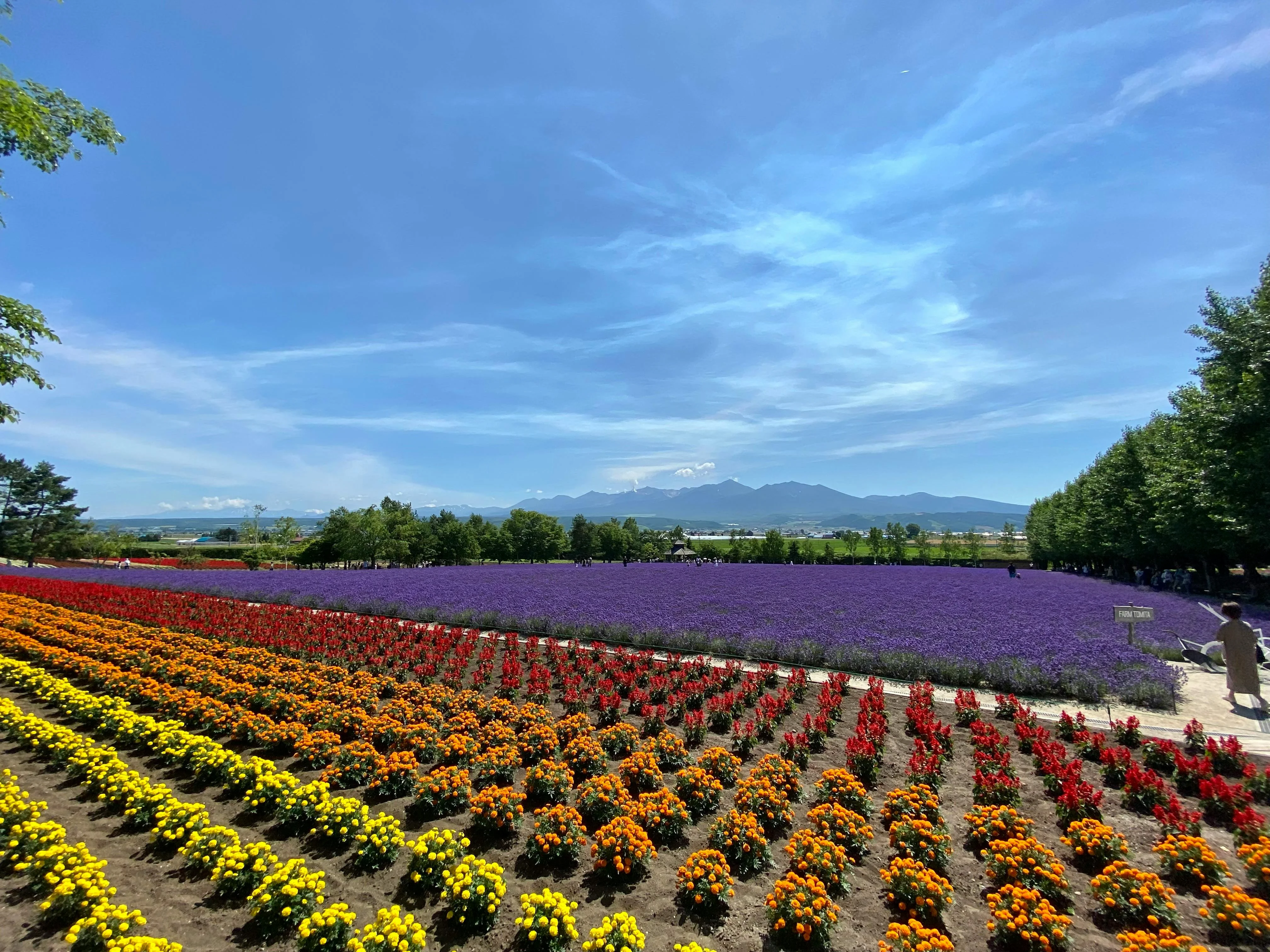 Brewing Tradition: Visiting Hokkaido's Local Sake Breweries Image 3