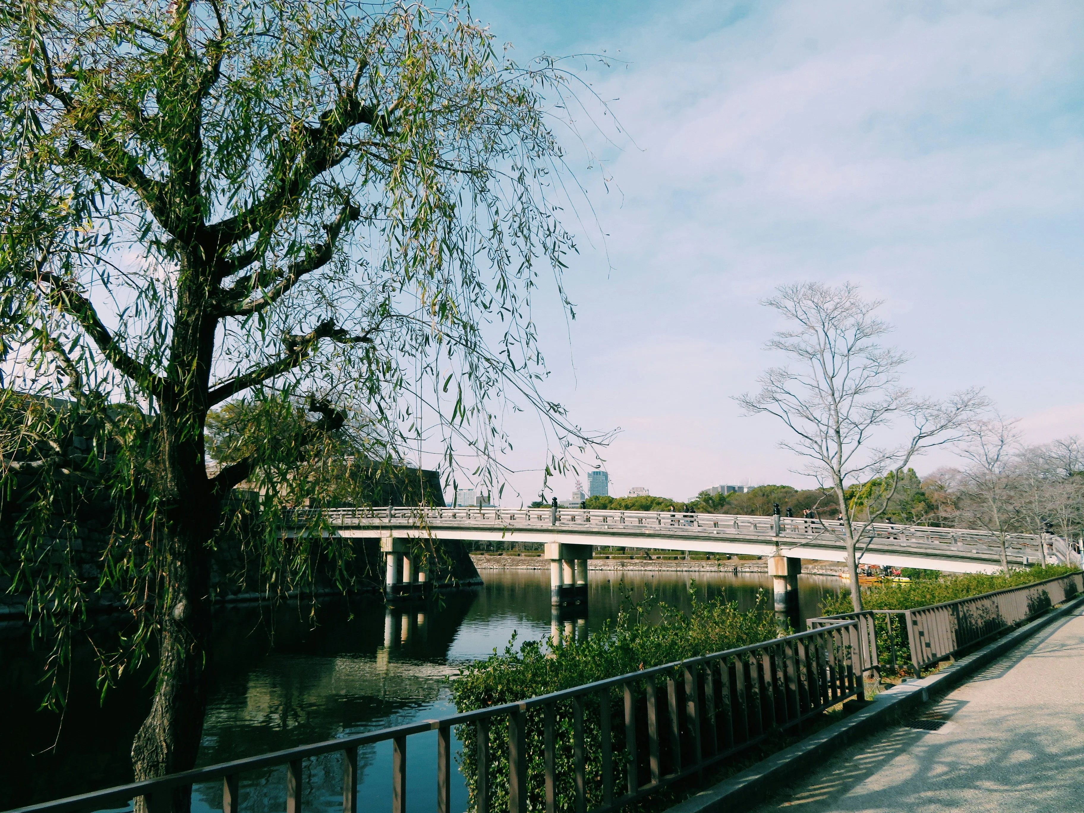 The Enchanting Cherry Blossoms of Osaka: A Springtime Marvel Image 2