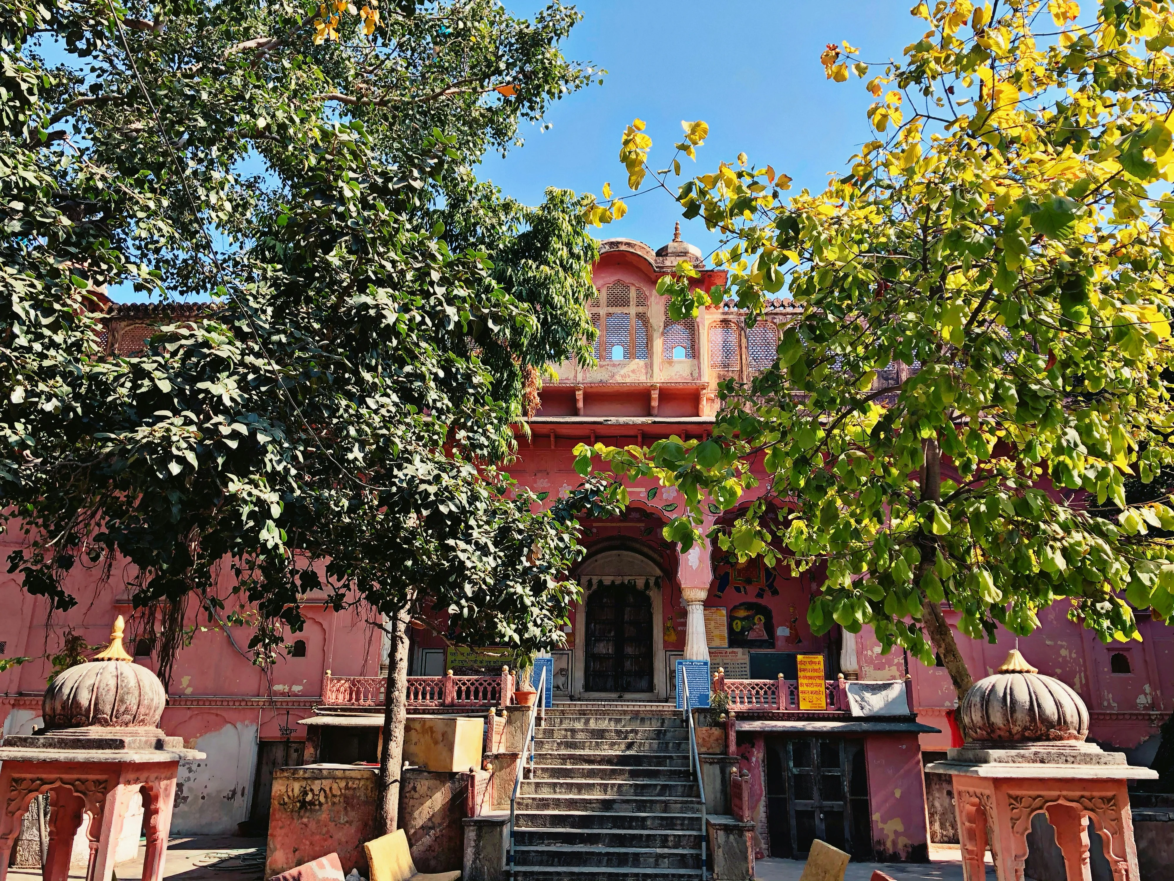 Unwind in Jaipur's Secluded Gardens: Serenity for Solo Explorers and Their Pets